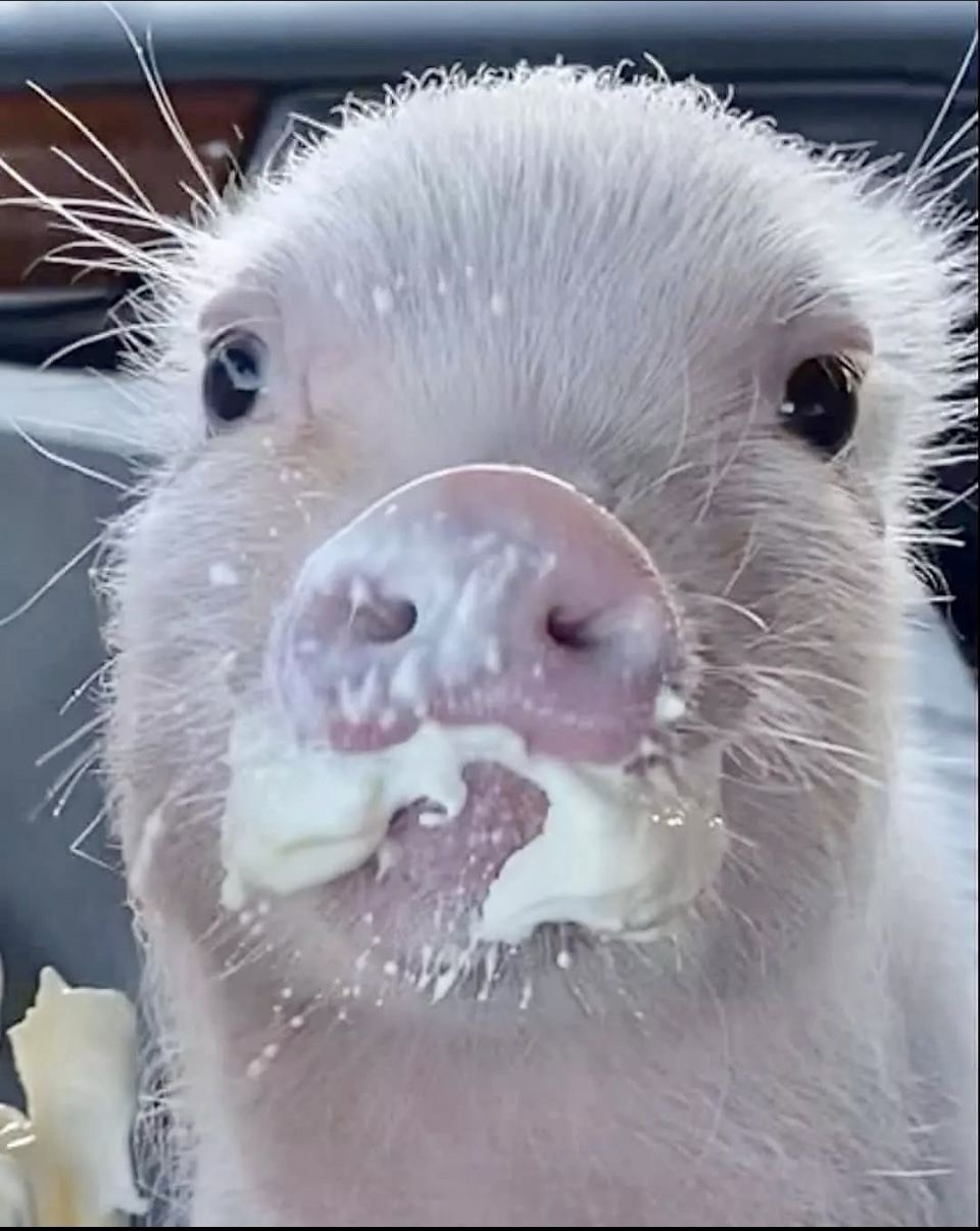 살짝 그늘진 양지 방송