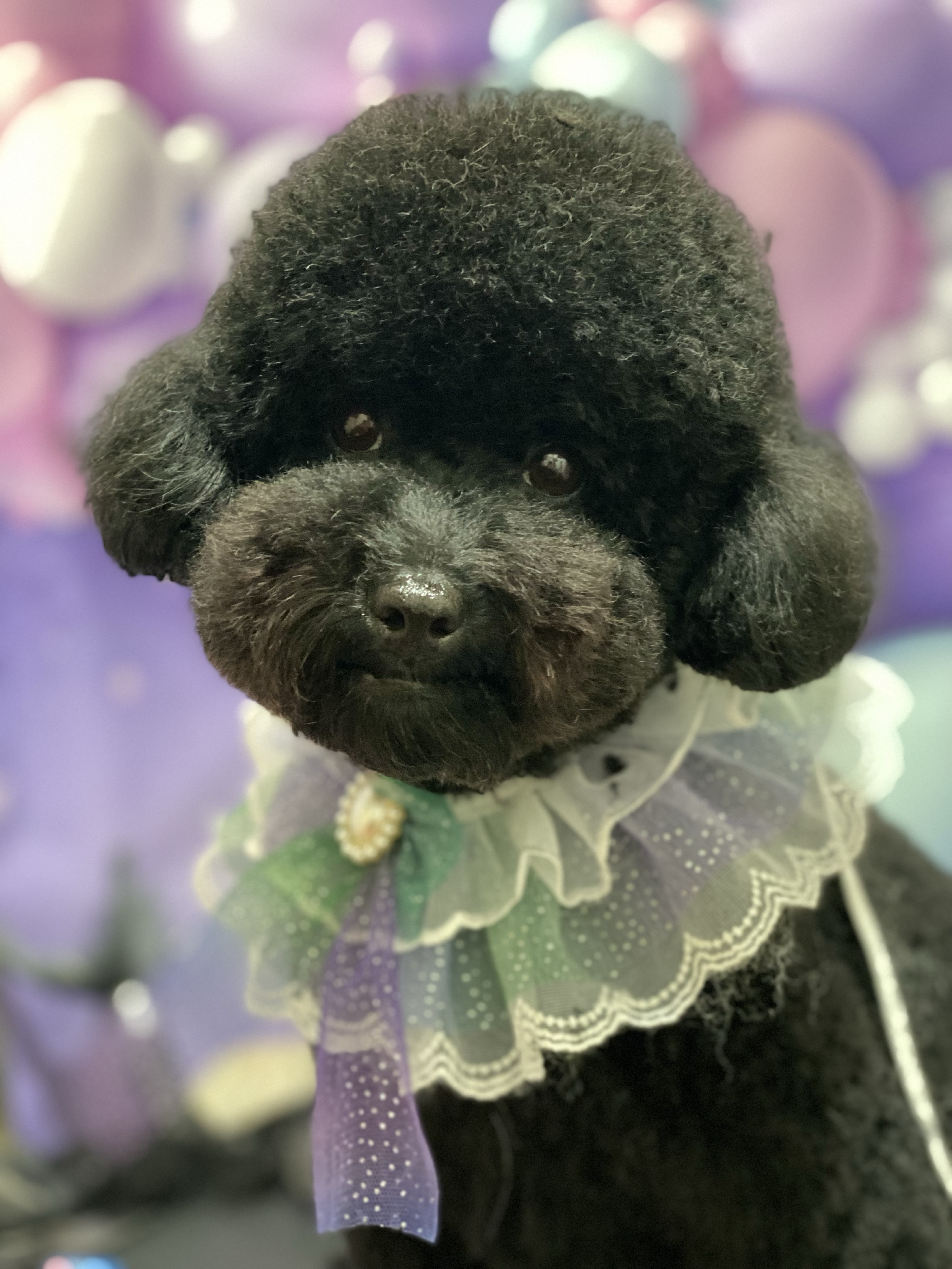 멀봐 나랑친구해주세여 챗환영