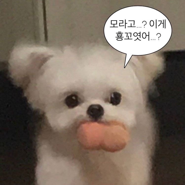 내가 이 나이에 너 만나면