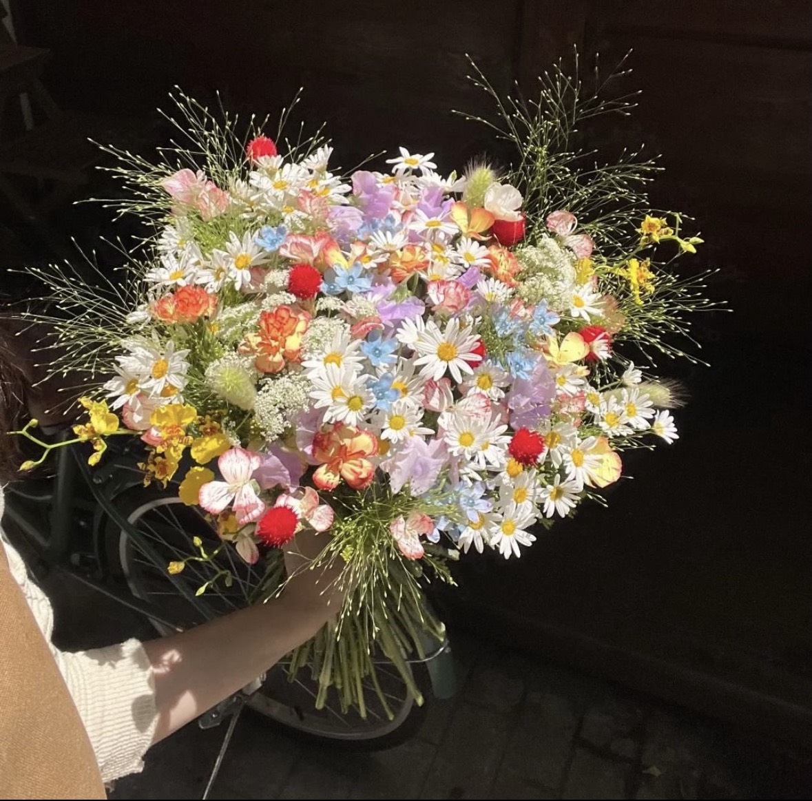 벚 꽃 보러 가자