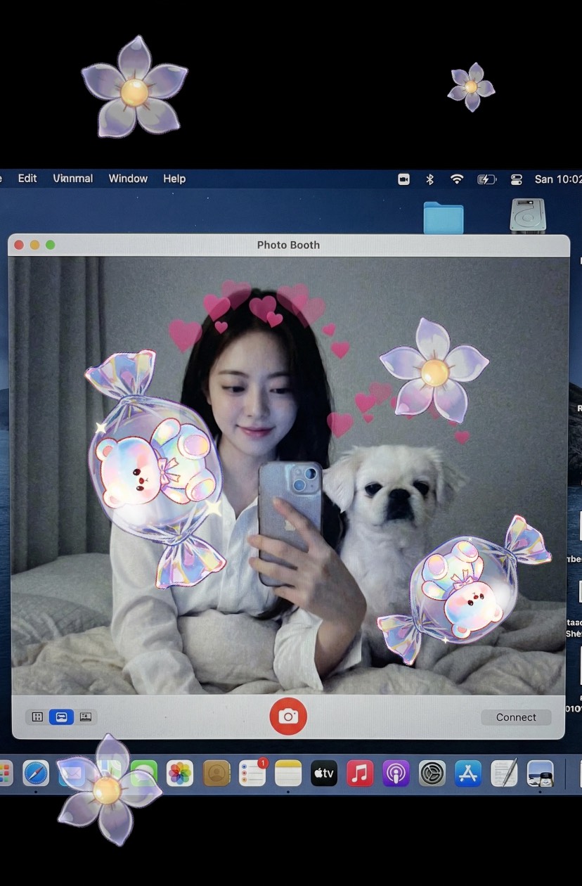 !⃝ 귀여우면 끝인거지 _☘︎