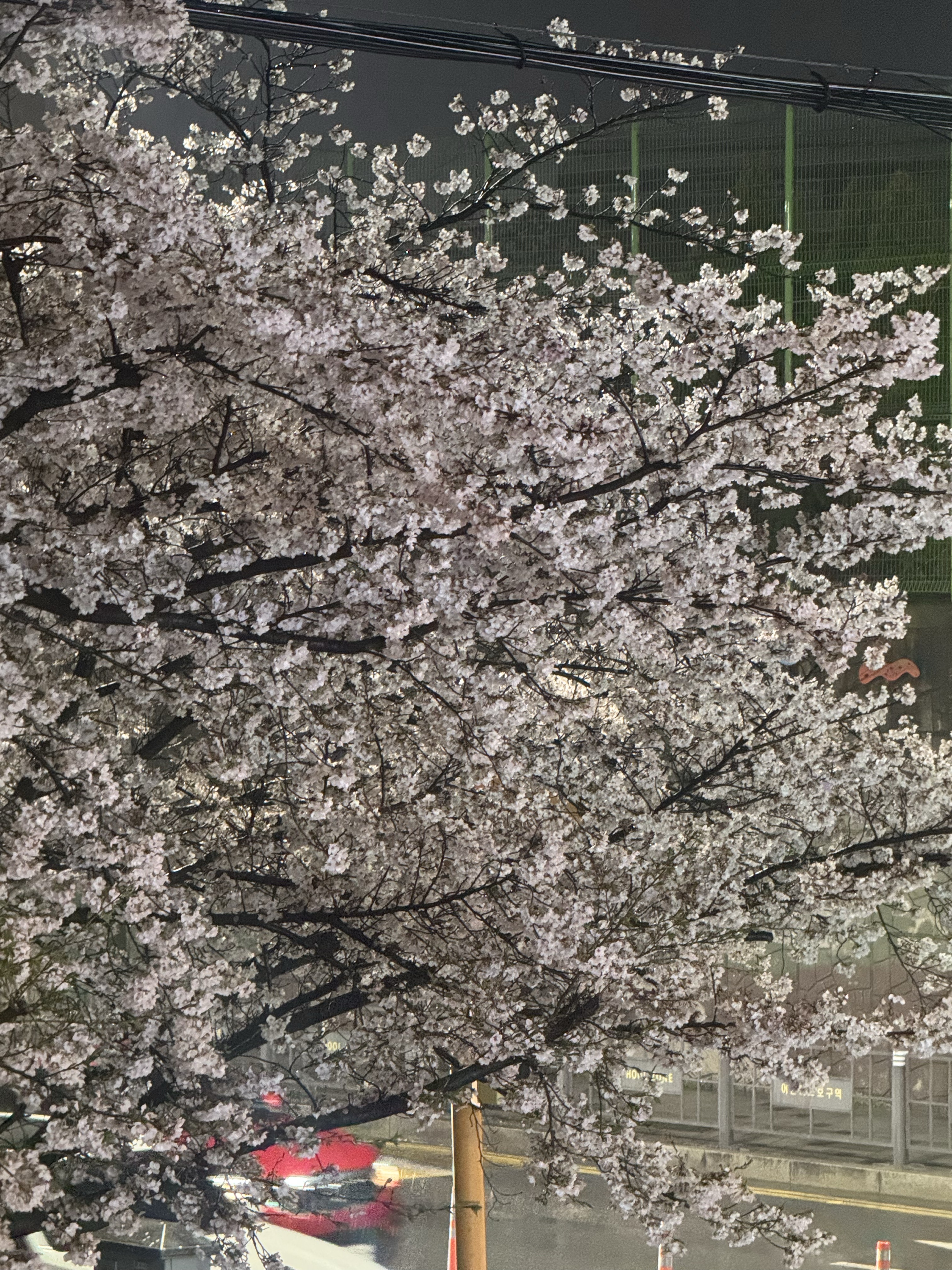 피아노 연주 라디오 고퀄리티🎹👍🌟