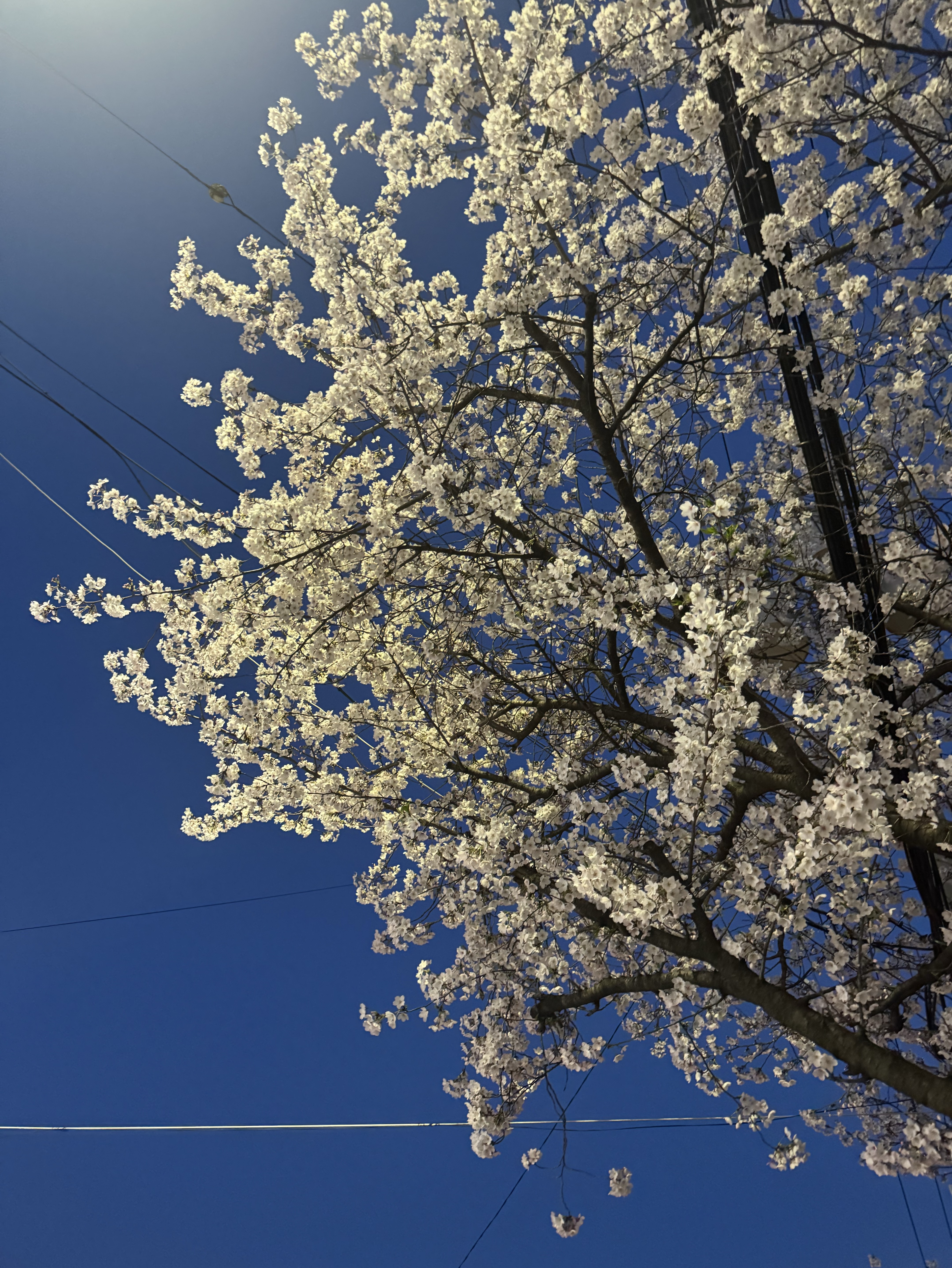 4월3일 기옥도 생일🎂