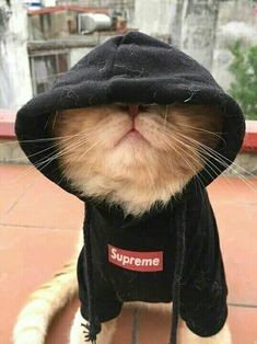 음원 아닙니다~