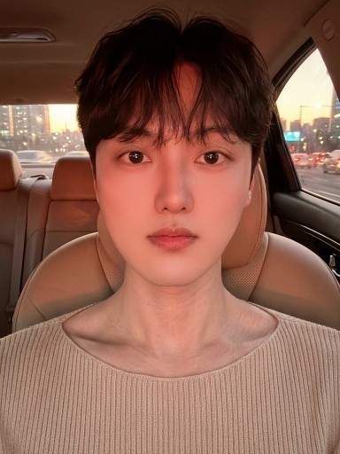 전라도평냉이코노