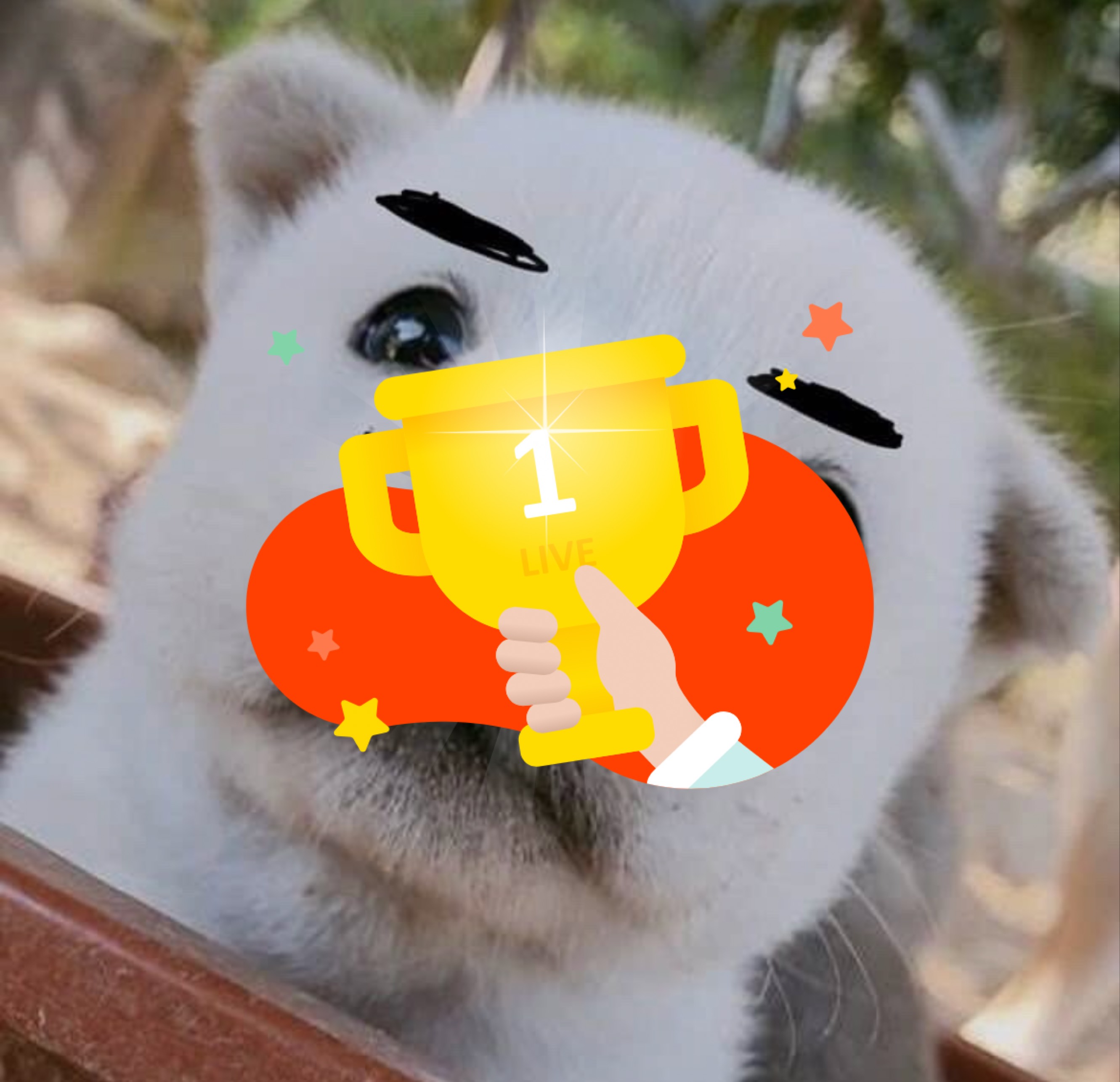 유머1티어인데 안 올거야? 친해지자