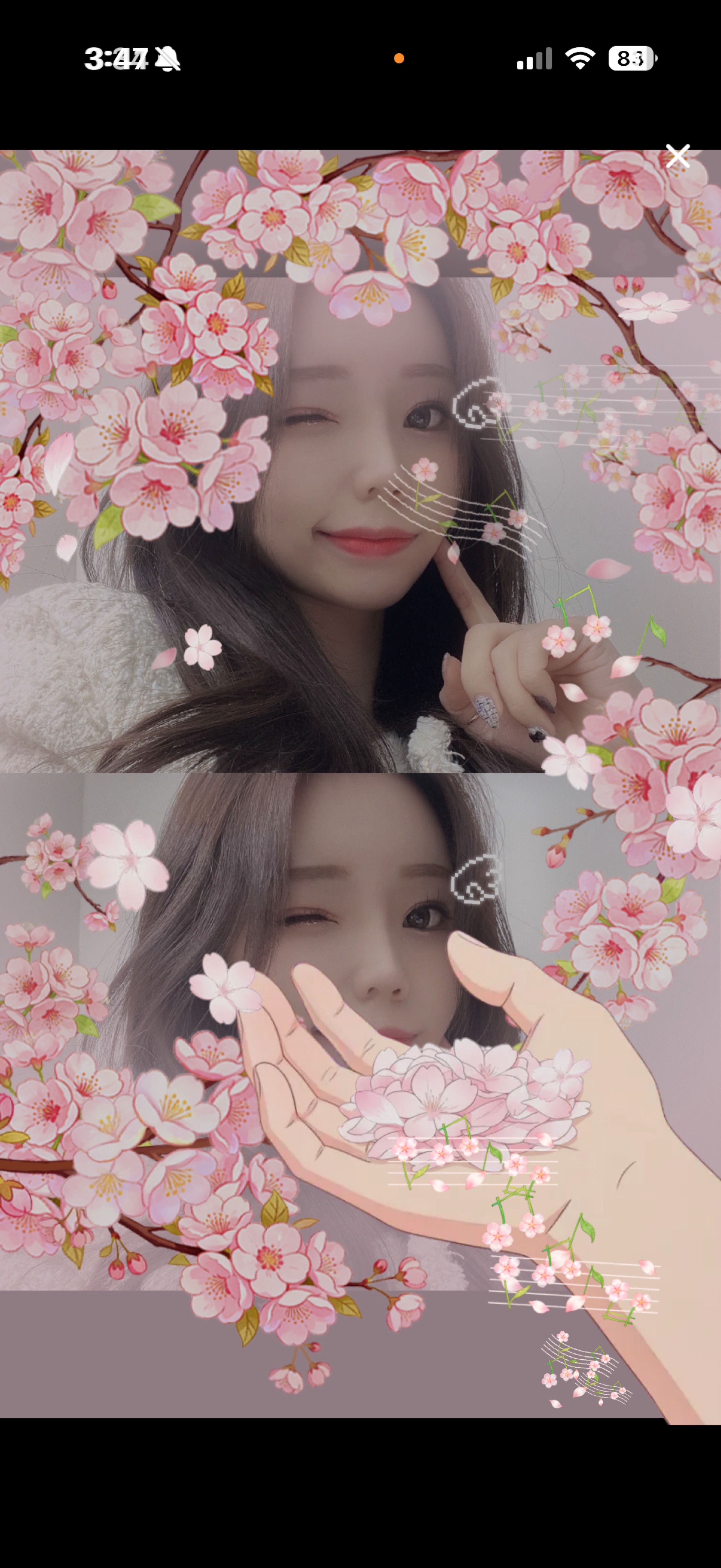 9일차)쁘니 보러올사람~🙌🏻