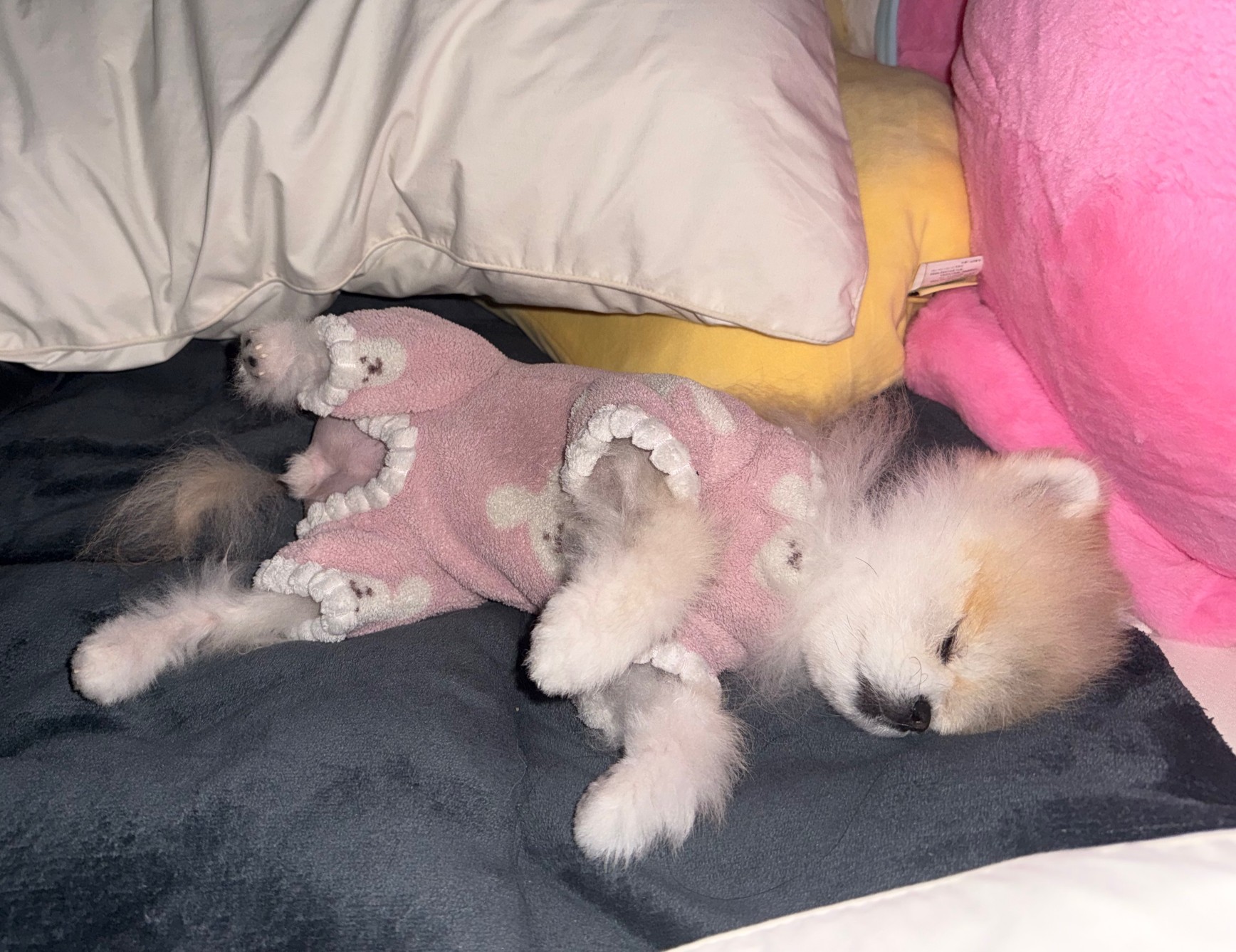 # 오후1시30분에만나요