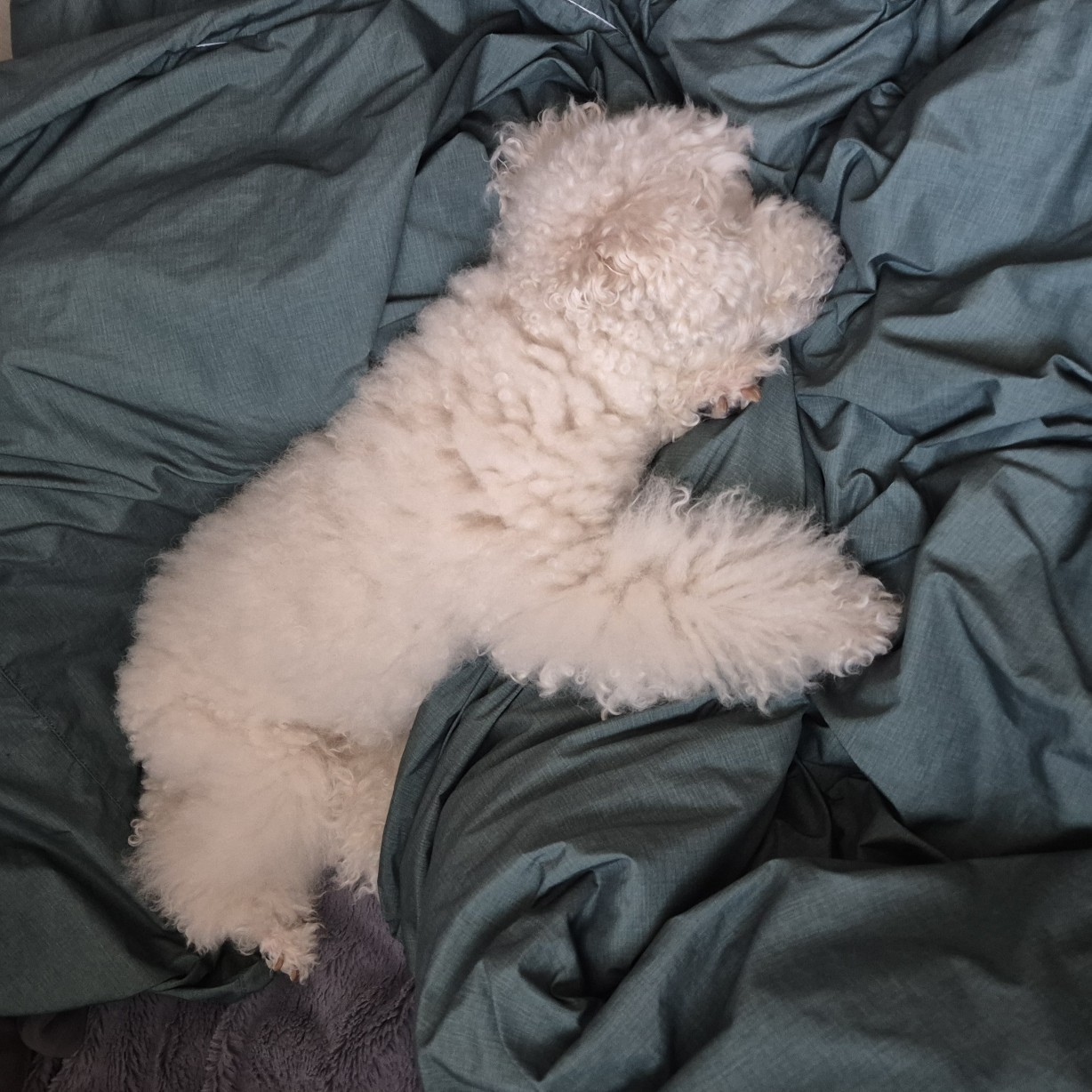 그냥그저그렇게그런