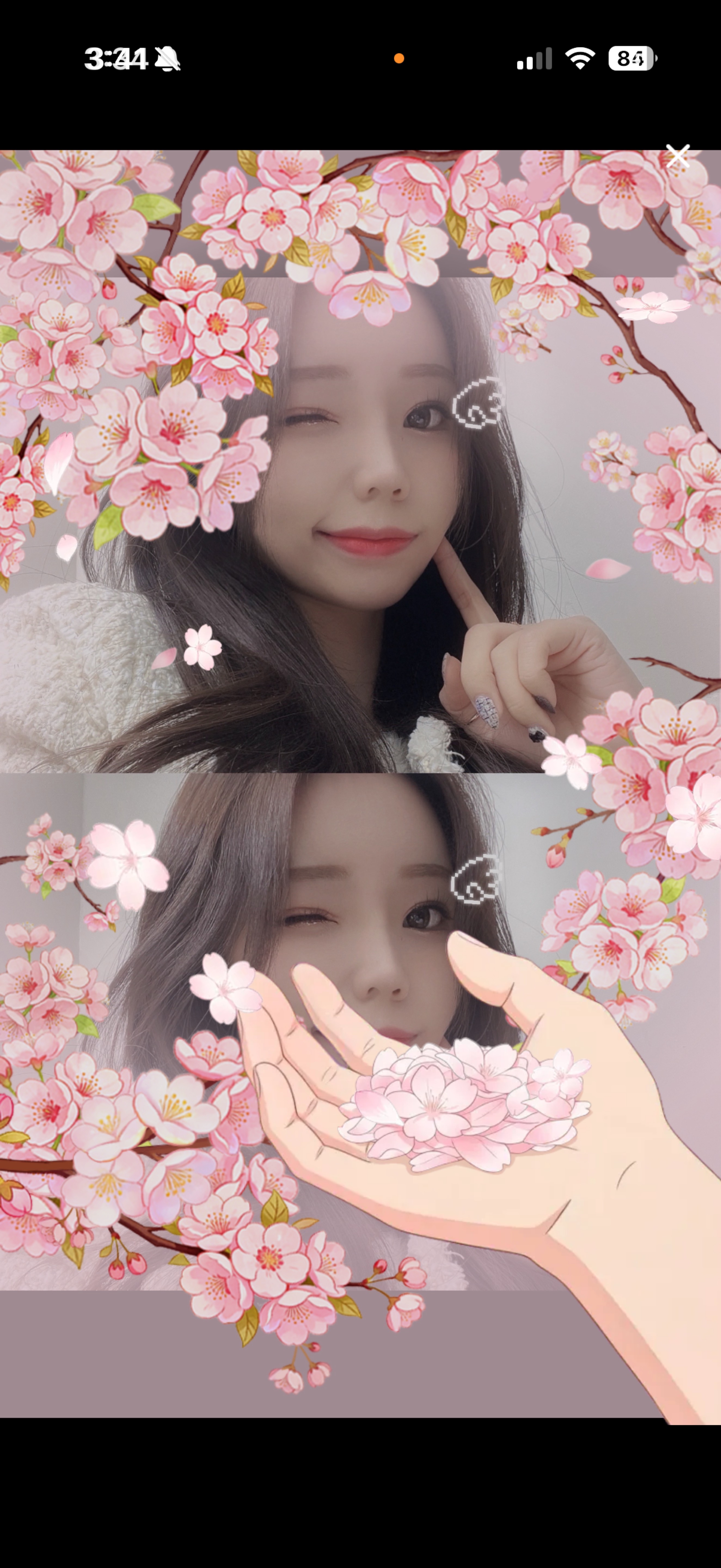 9일차)쁘니 보러올사람~🙌🏻