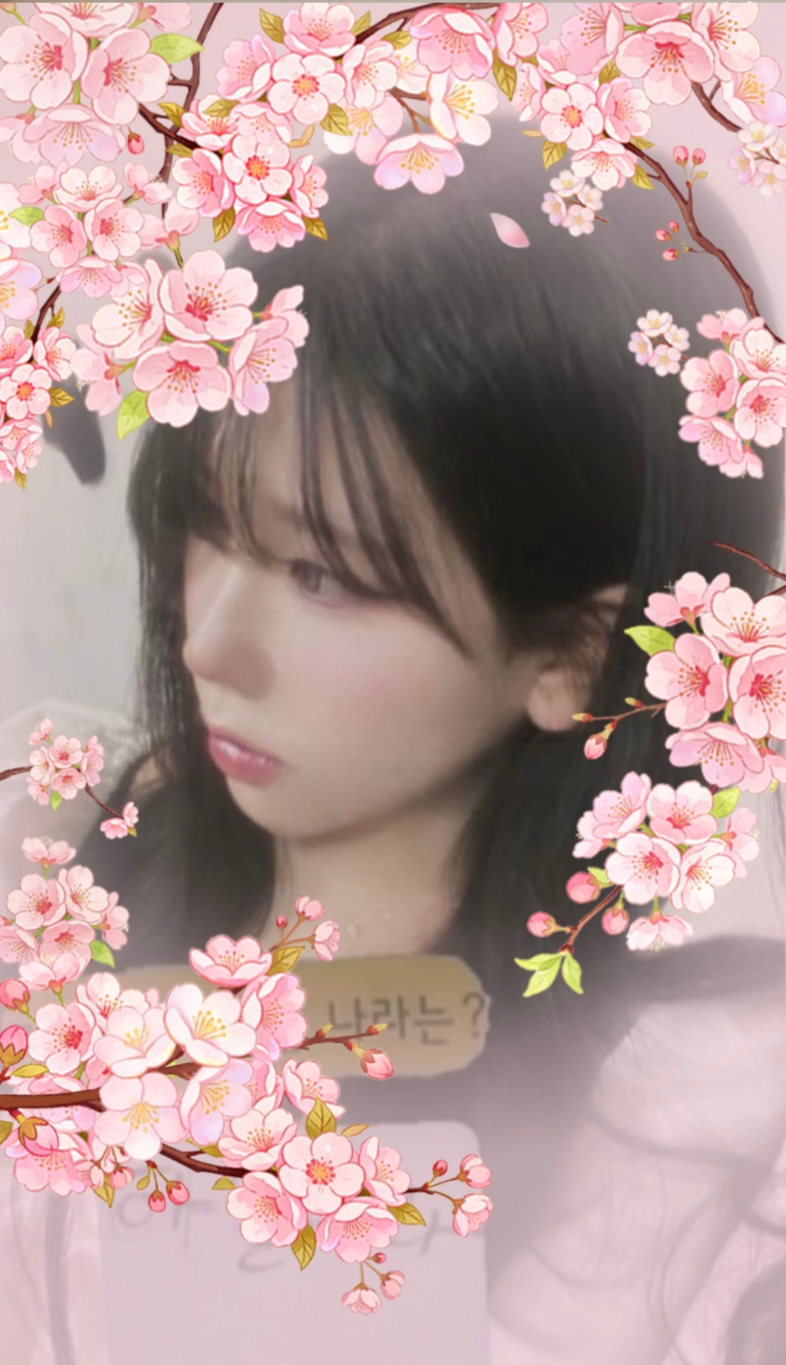 저점매수라하기엔 올랐다 떨어진,,