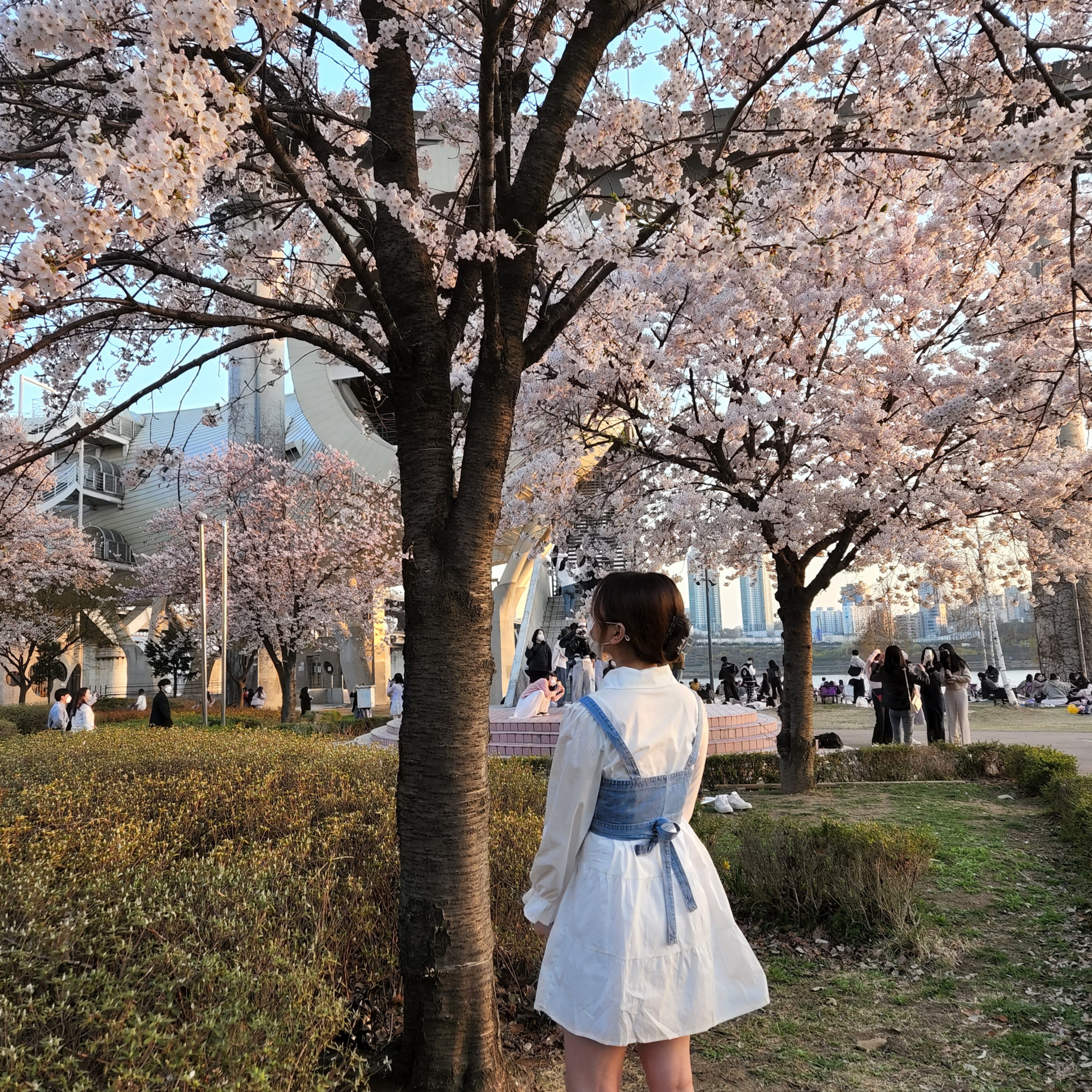 ꒰ 몽롱.. 눕방.. ꒱