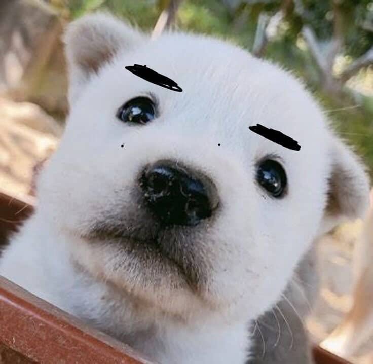 유머1티어인데 안 올거야? 친해지자