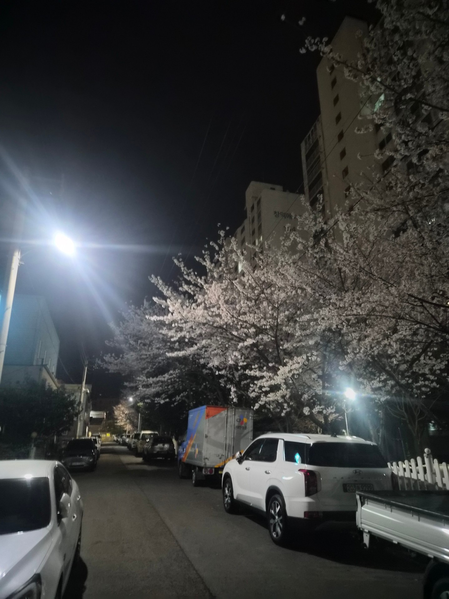 1번님 존잘 미친놈