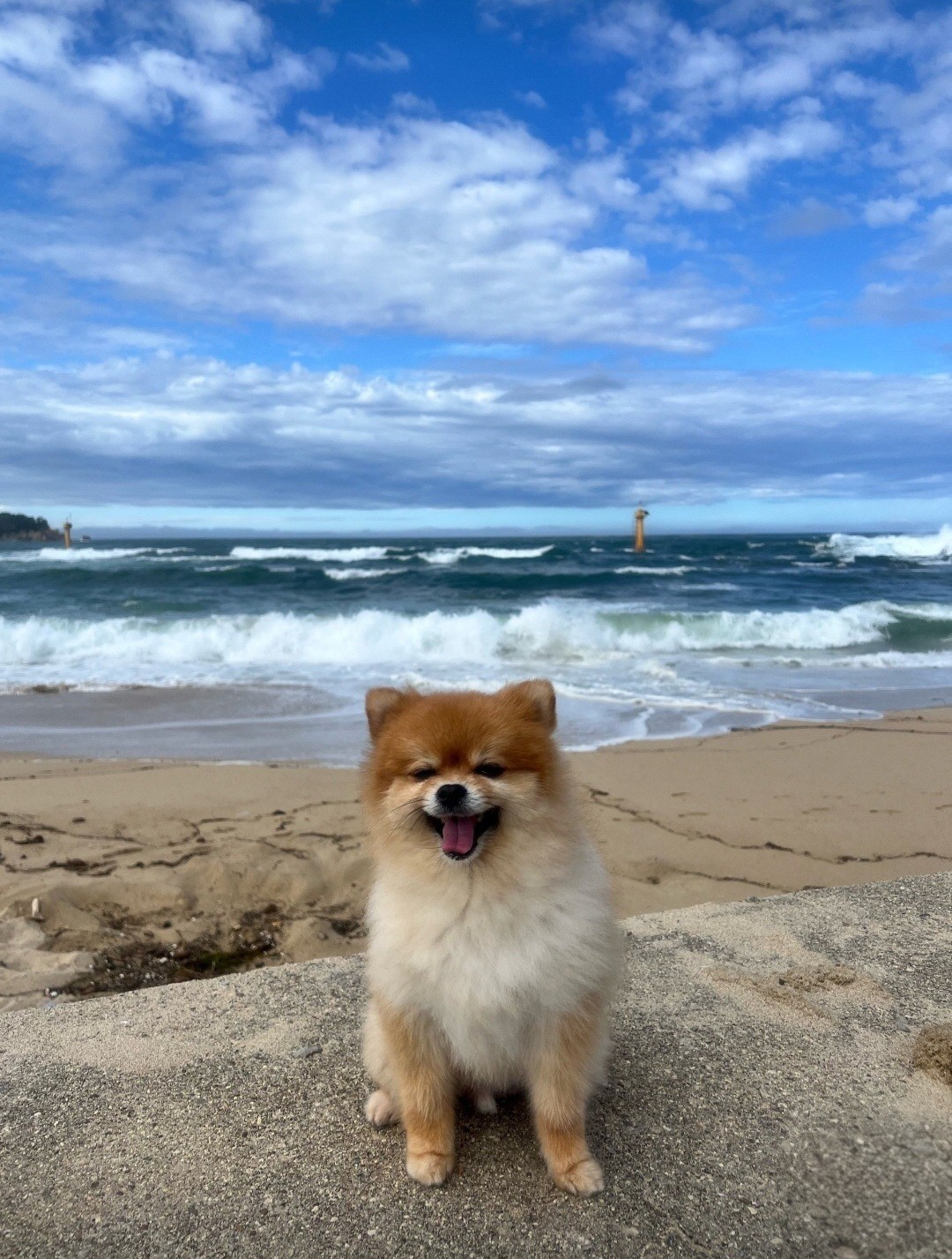 잠 못 이룬 새벽🌙