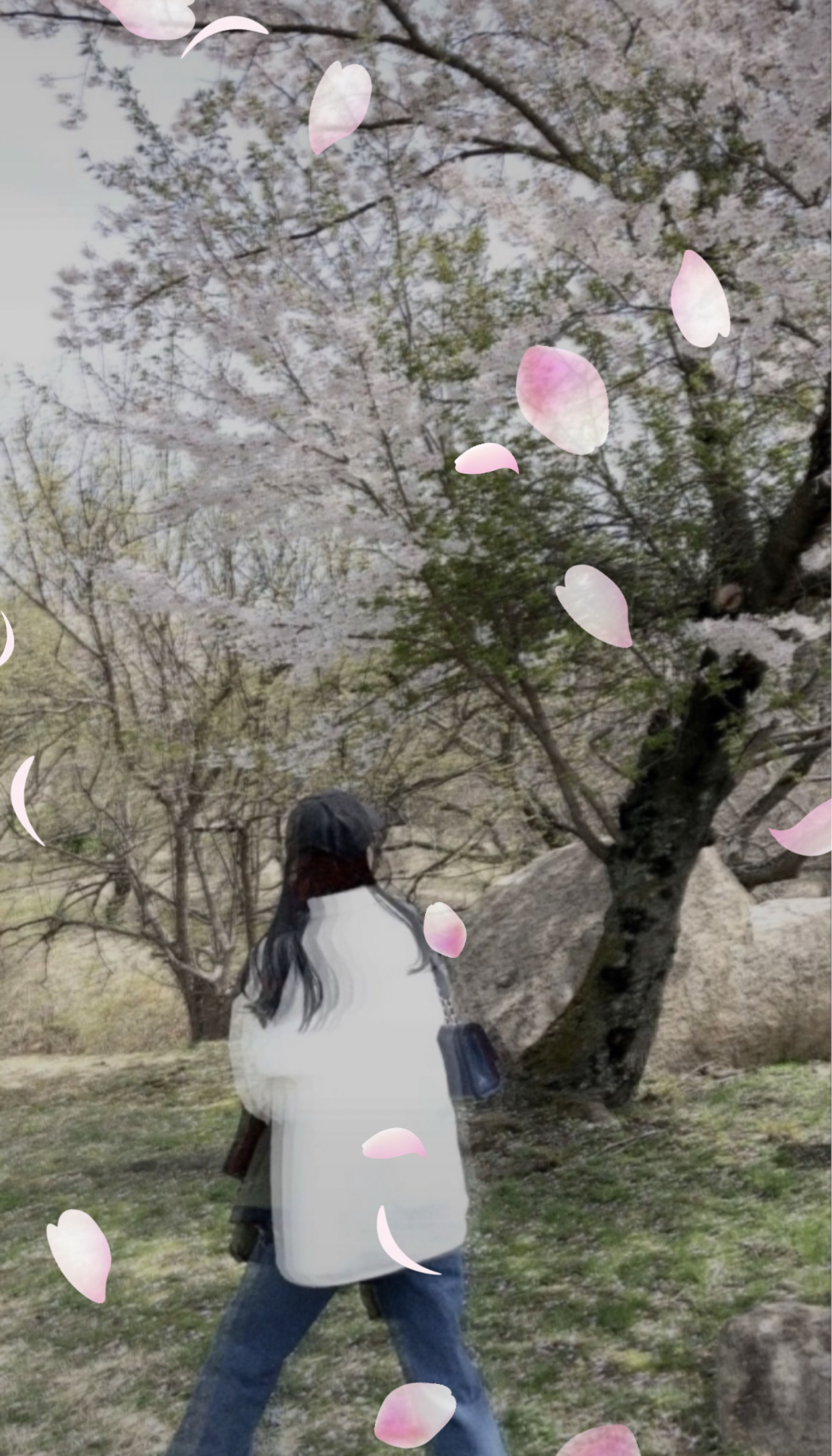 갱상도얼짱 ғᴍ¹ / 봄 봄 봄