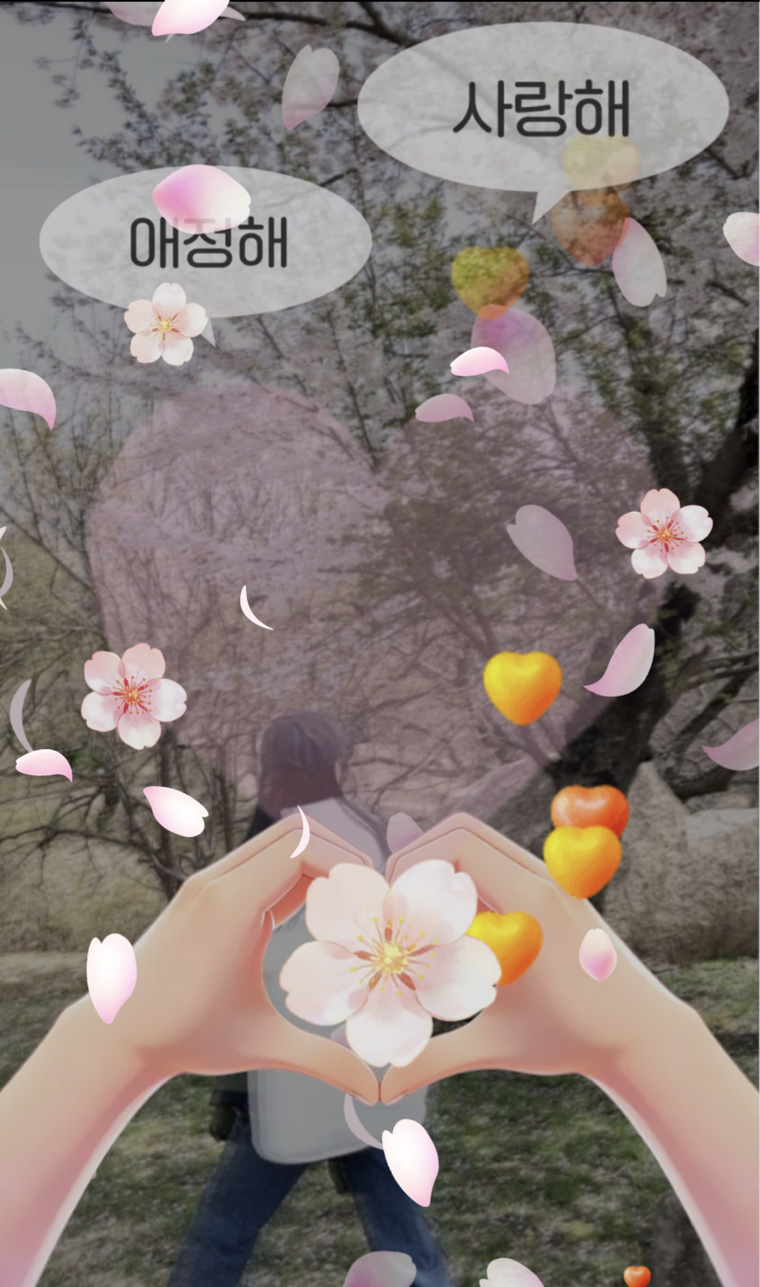 갱상도얼짱 ғᴍ¹ / 봄 봄 봄