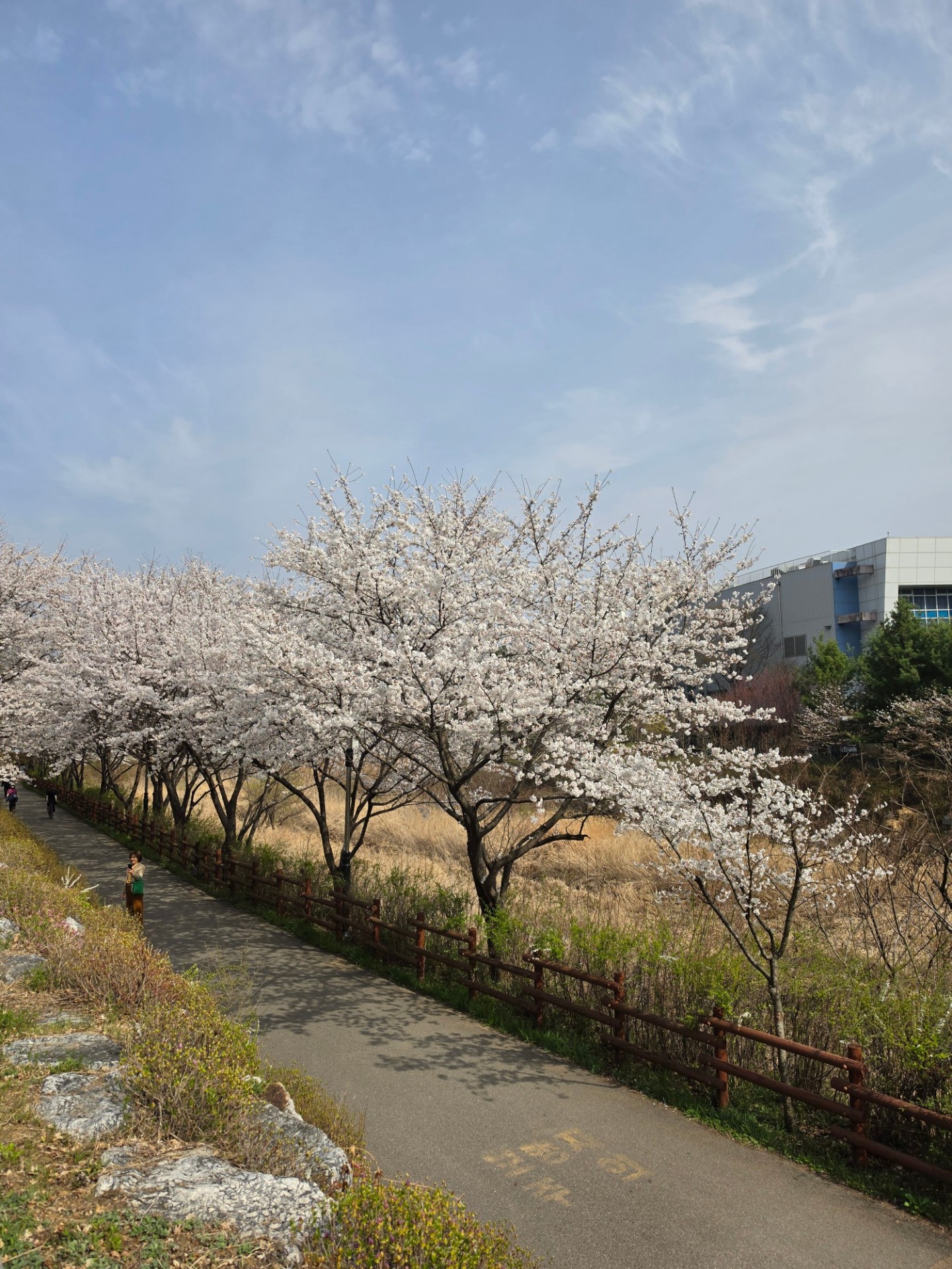 밥먹을때 까지만