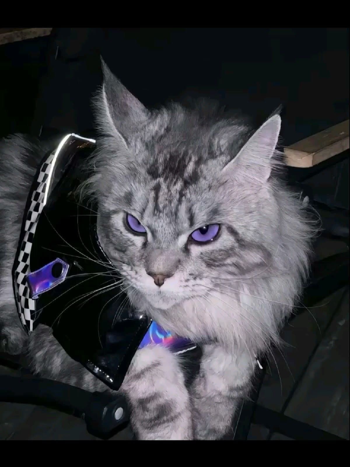 잠 좀 깨고 노래 라이부