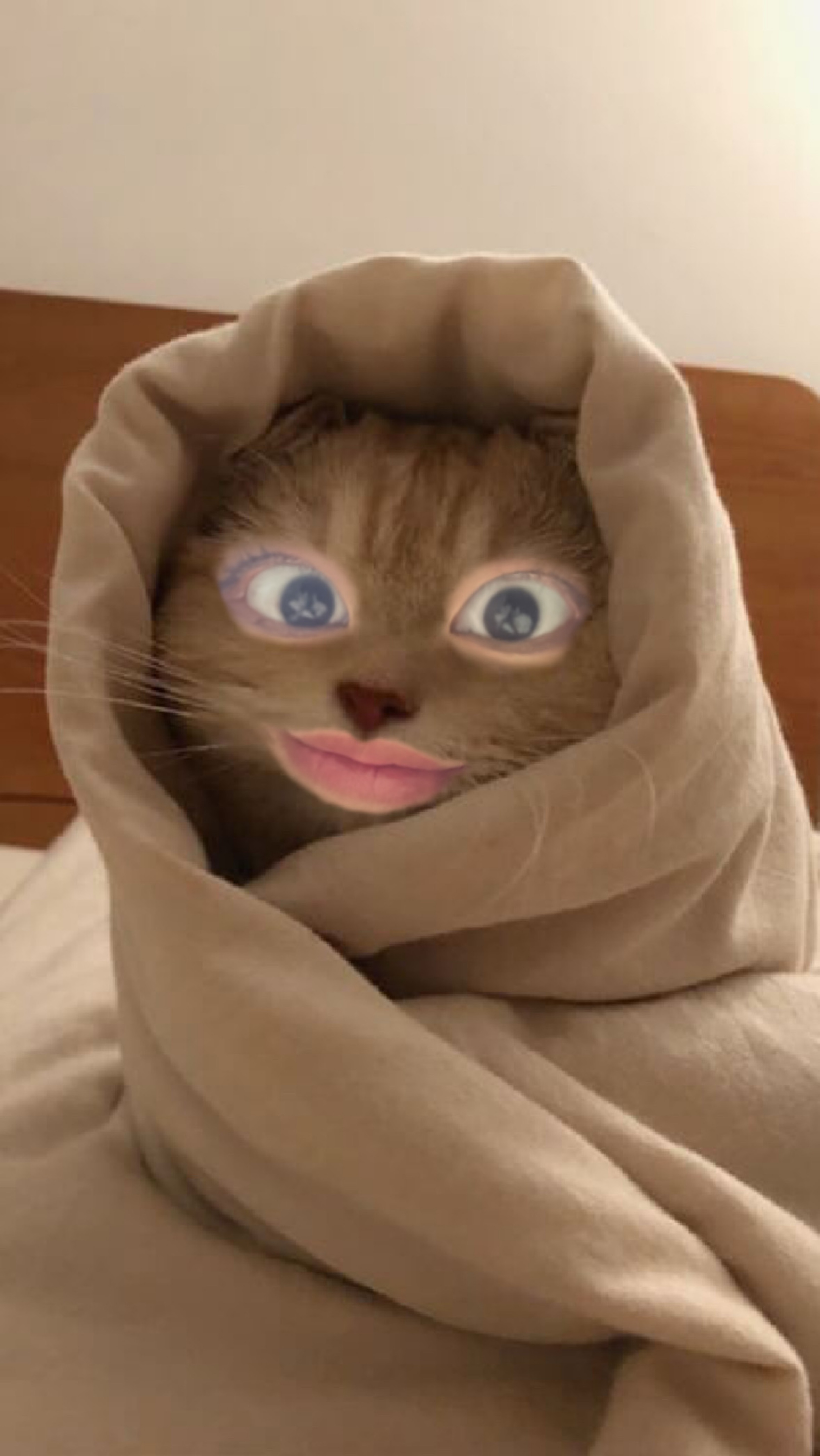 이 방송은 내맘대로 방종됩니다.