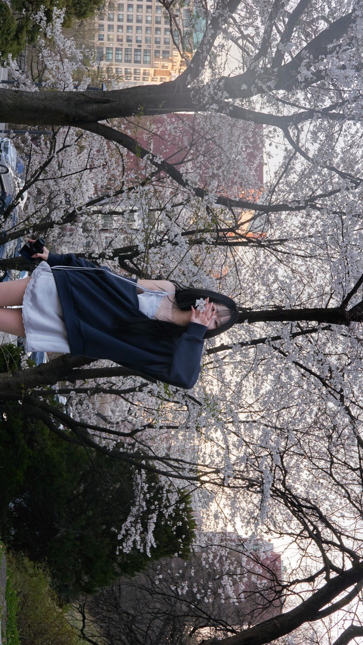 4월, 봄, 금요일, 이제!