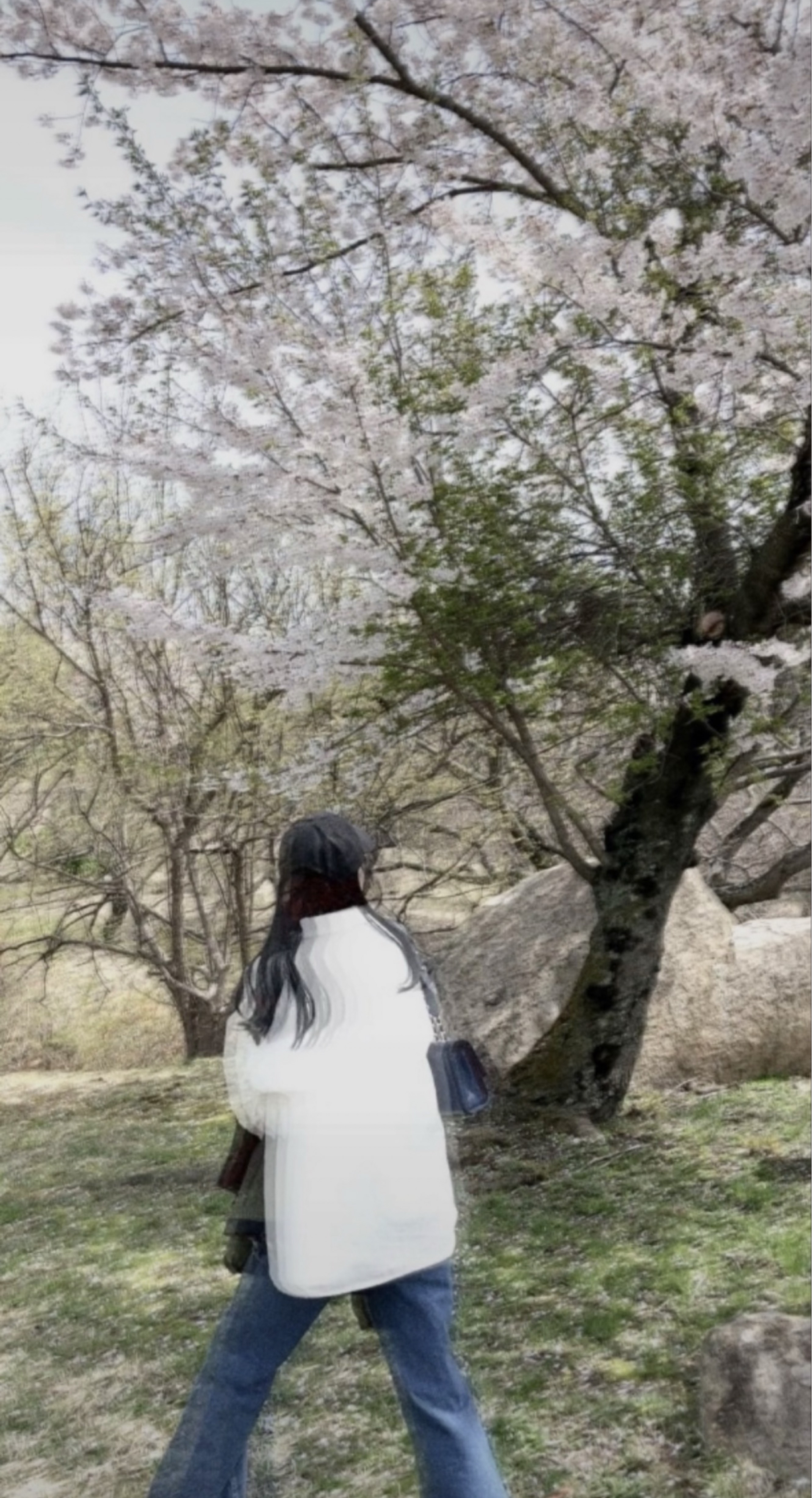 갱상도얼짱 ғᴍ¹ / 봄 봄 봄