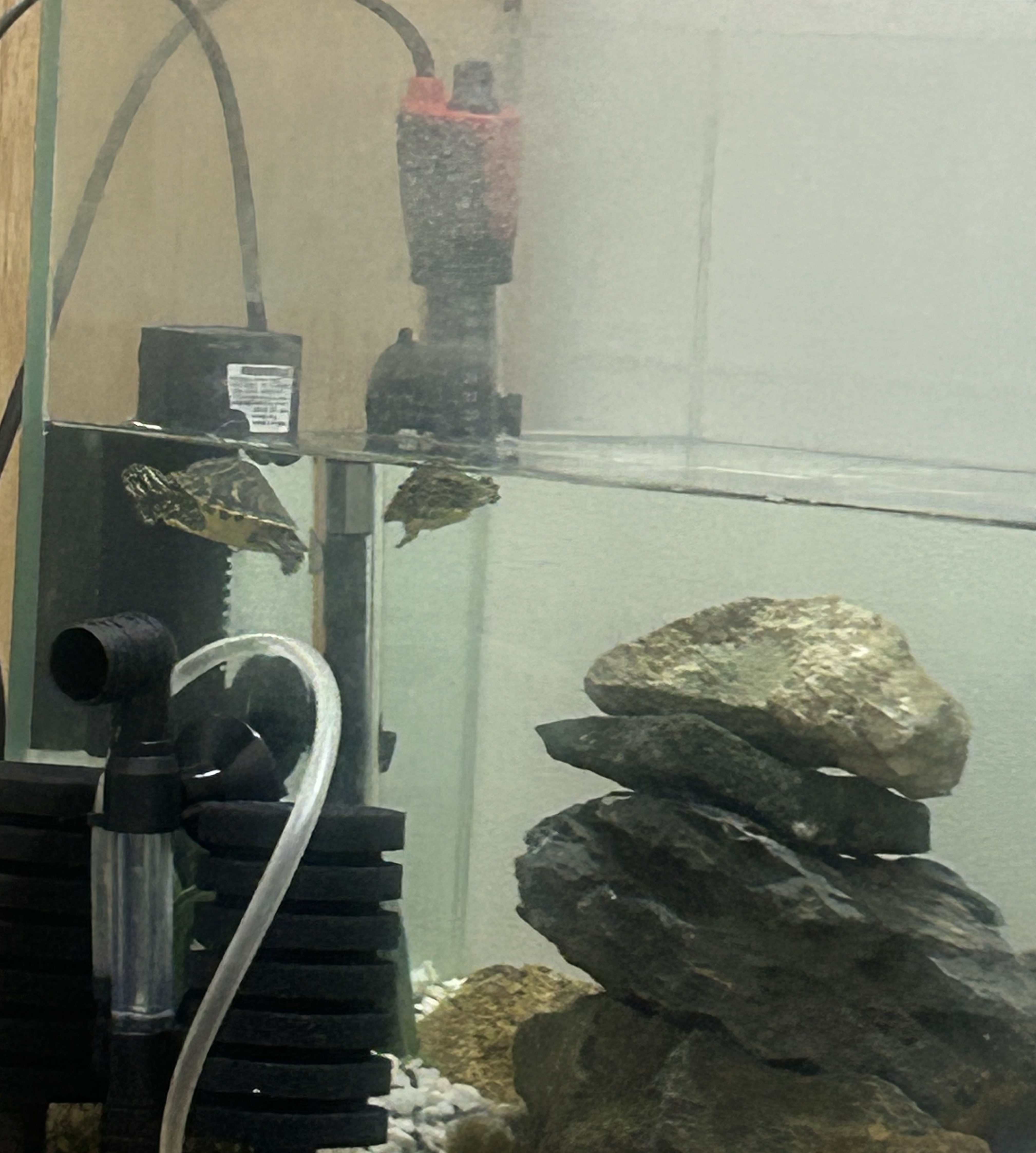 타로도 보구 소통도 하구💗