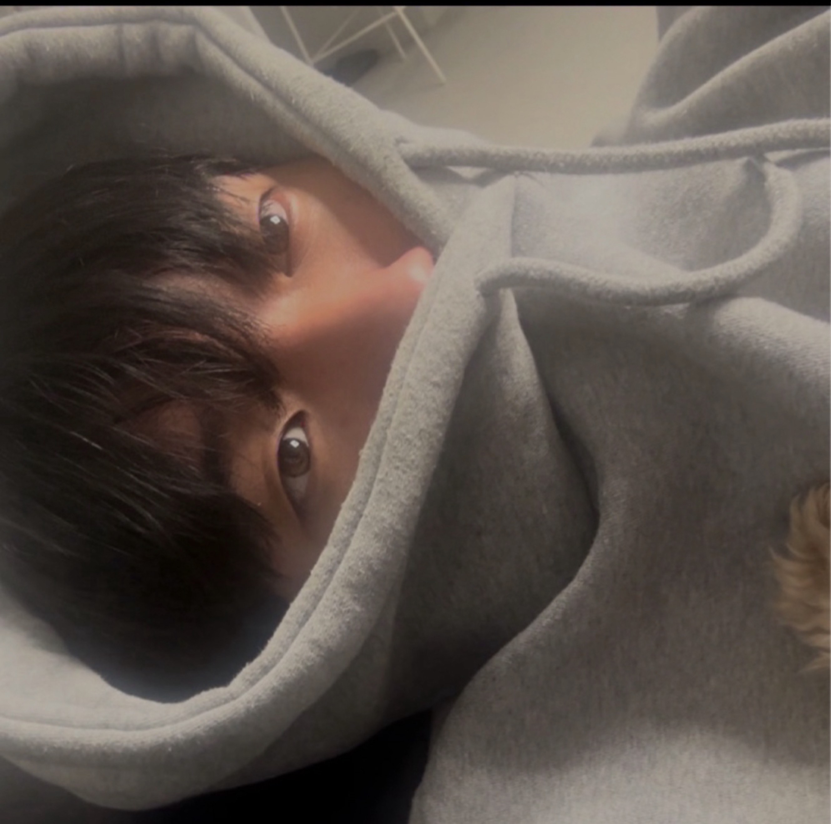 이시간 최적화 중저음🍀