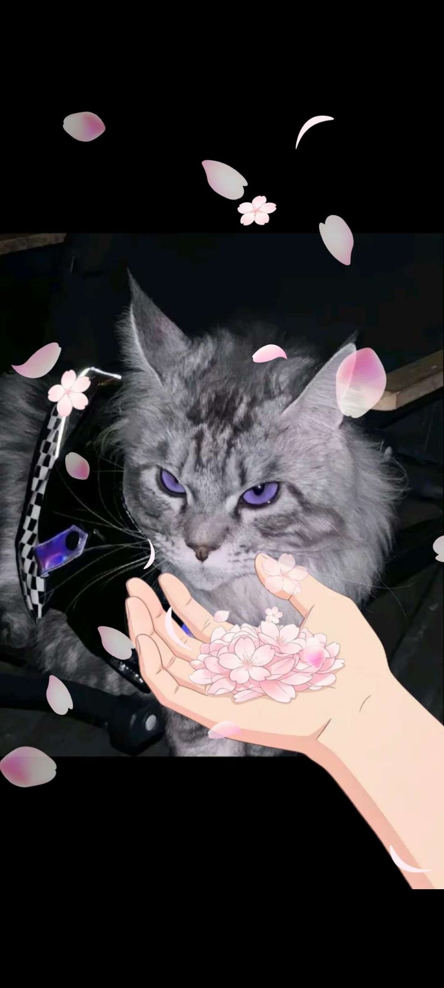 음원 아닌데요?