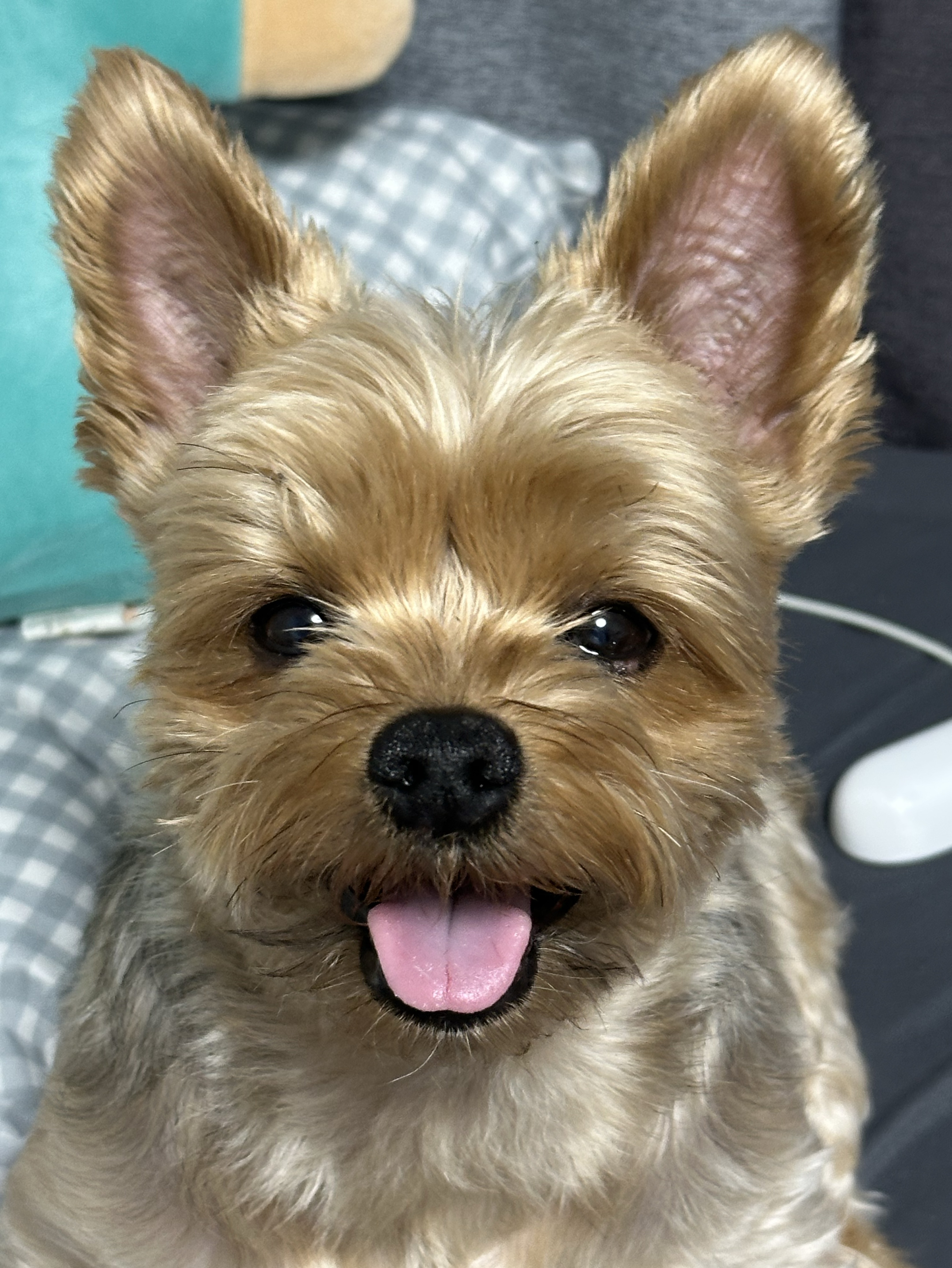 이 방송은 내맘대로 방종됩니다.