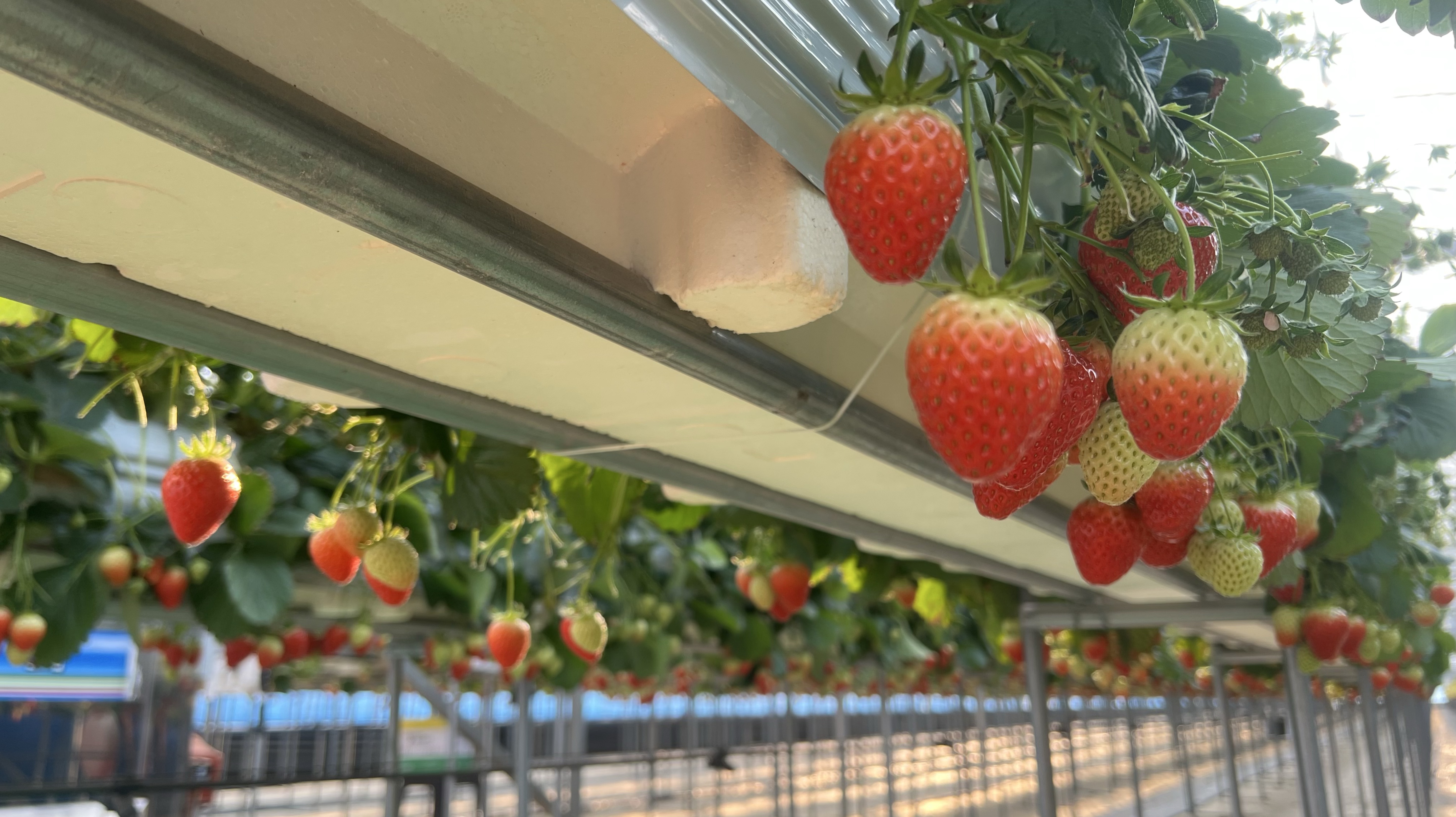 ☁️☁️ ‭ ‭ ‭ ‭