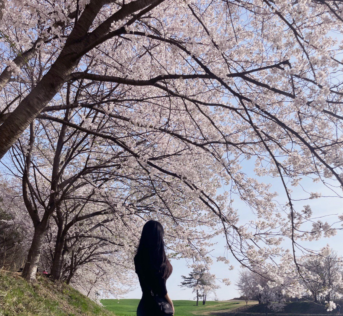 나 업스면 죽게따고 헤