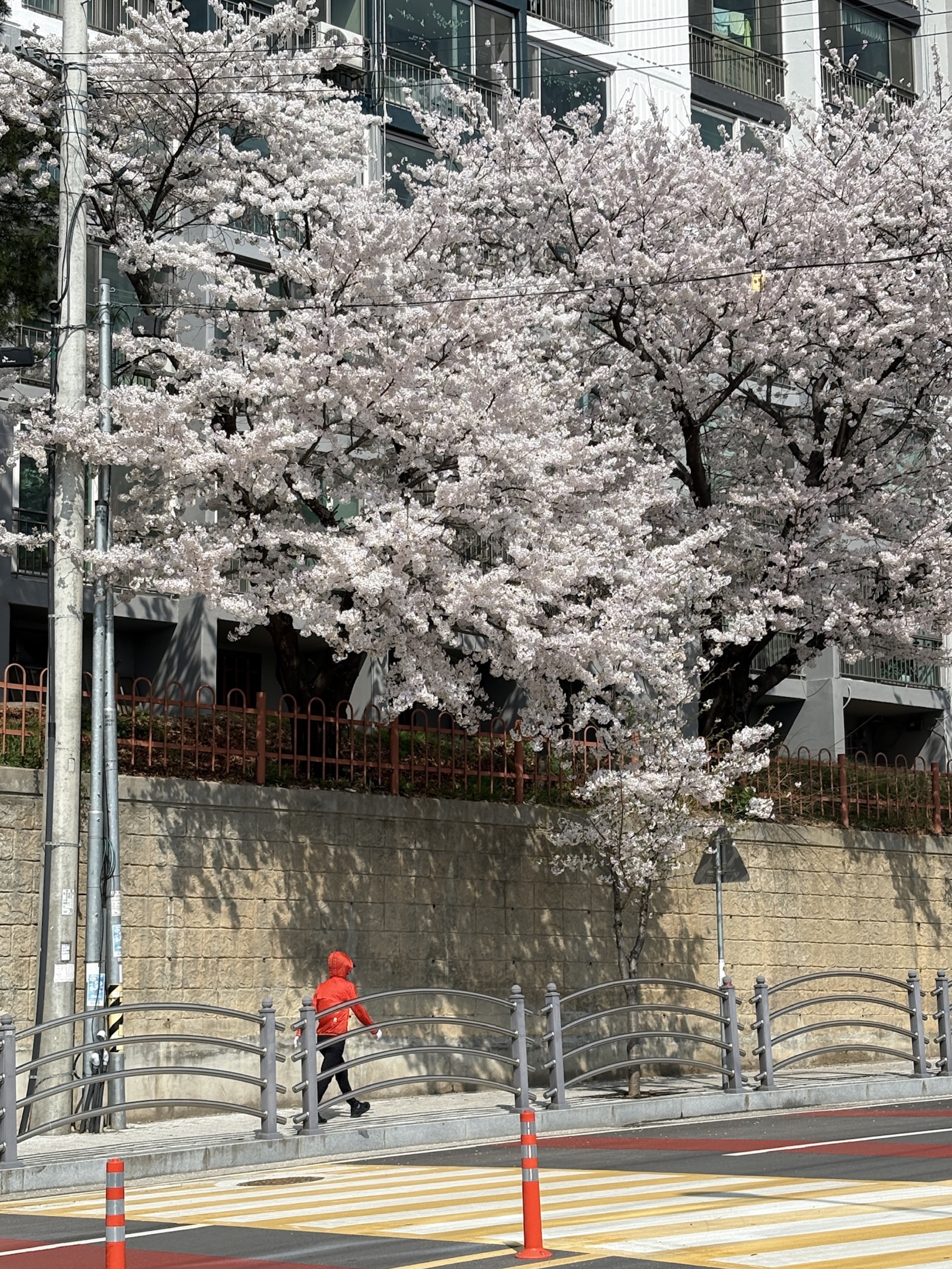 제목을 입력해주세요.*