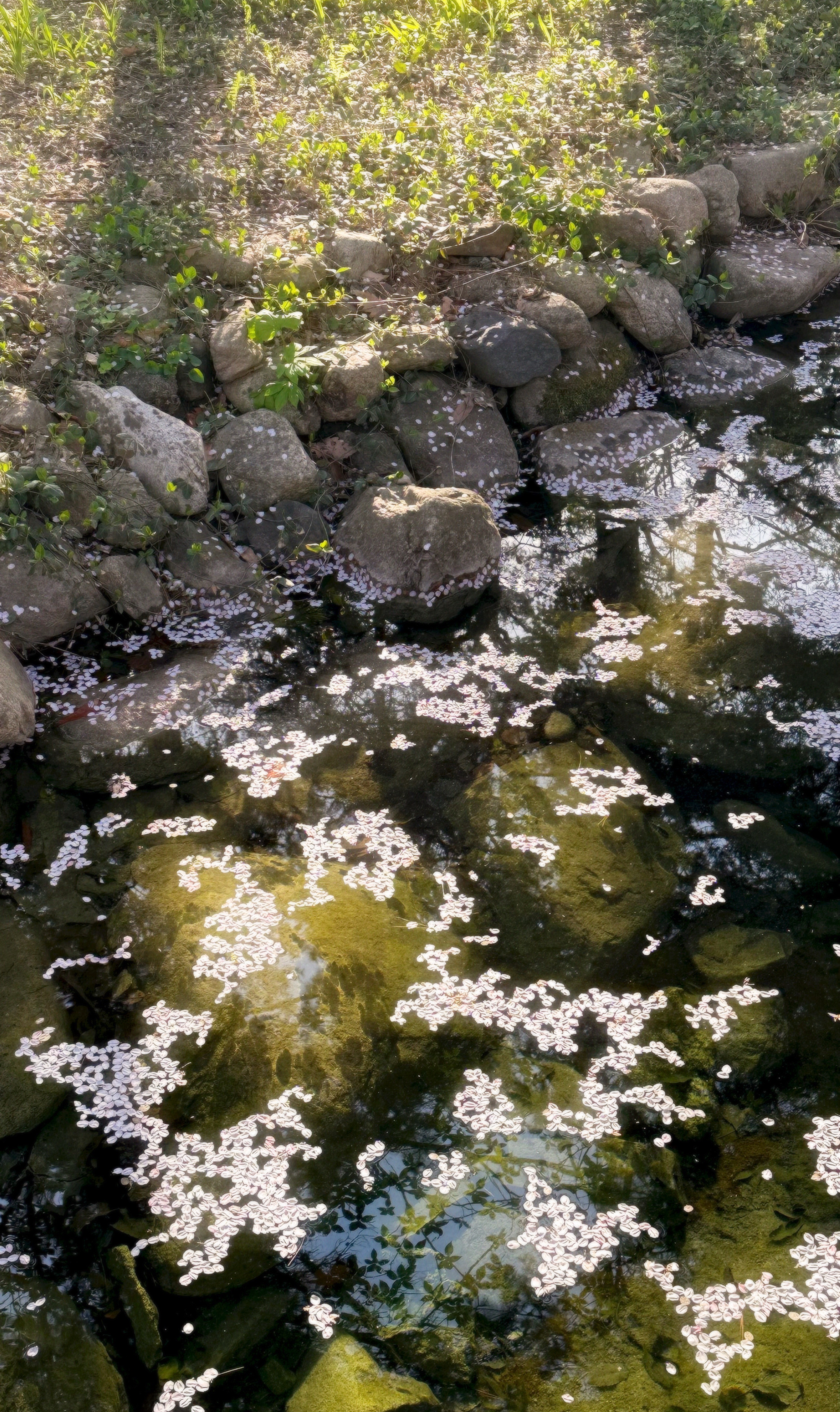 달달하게 재워줄게요 이리와요💗