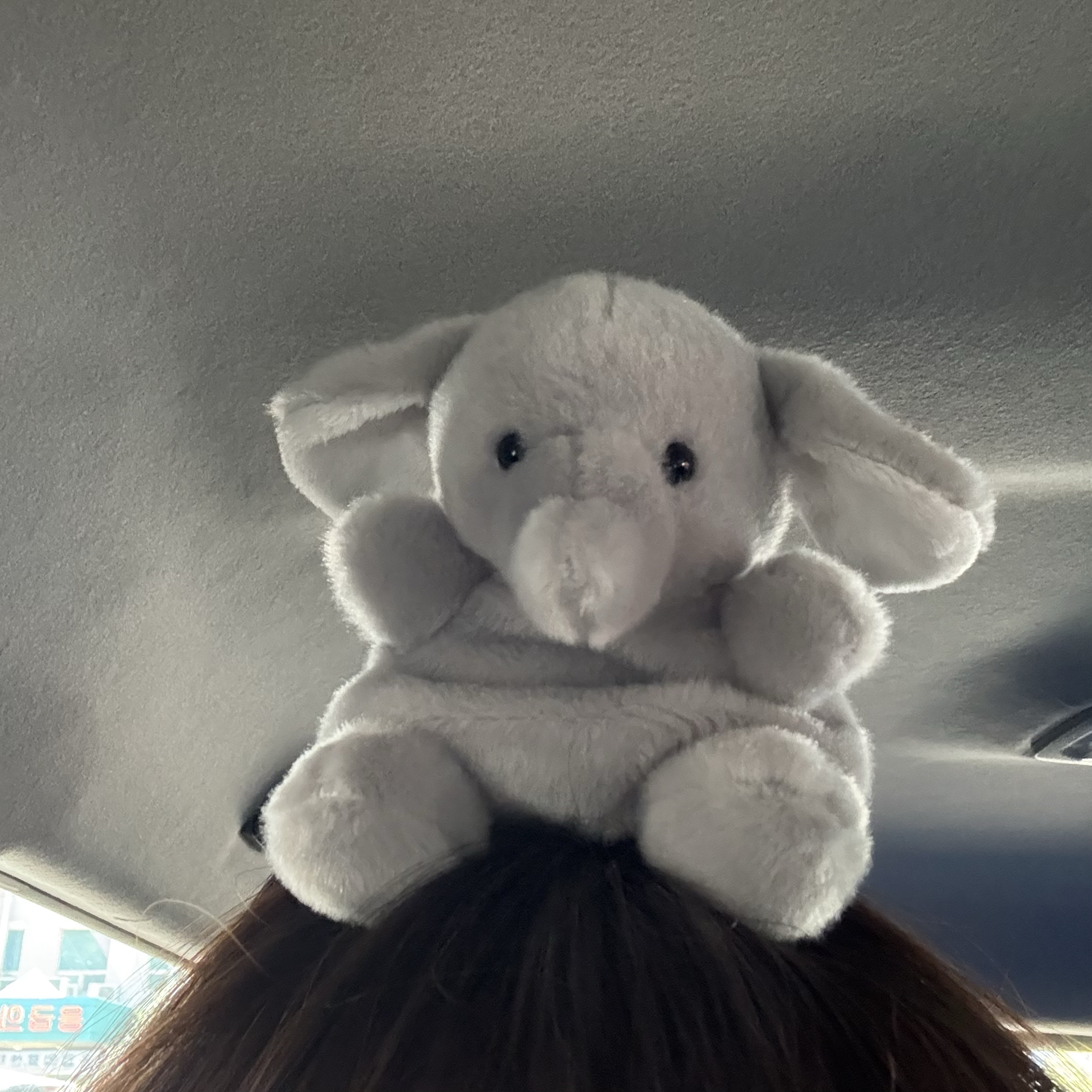 좋은 꿈 꿔  - ☘︎