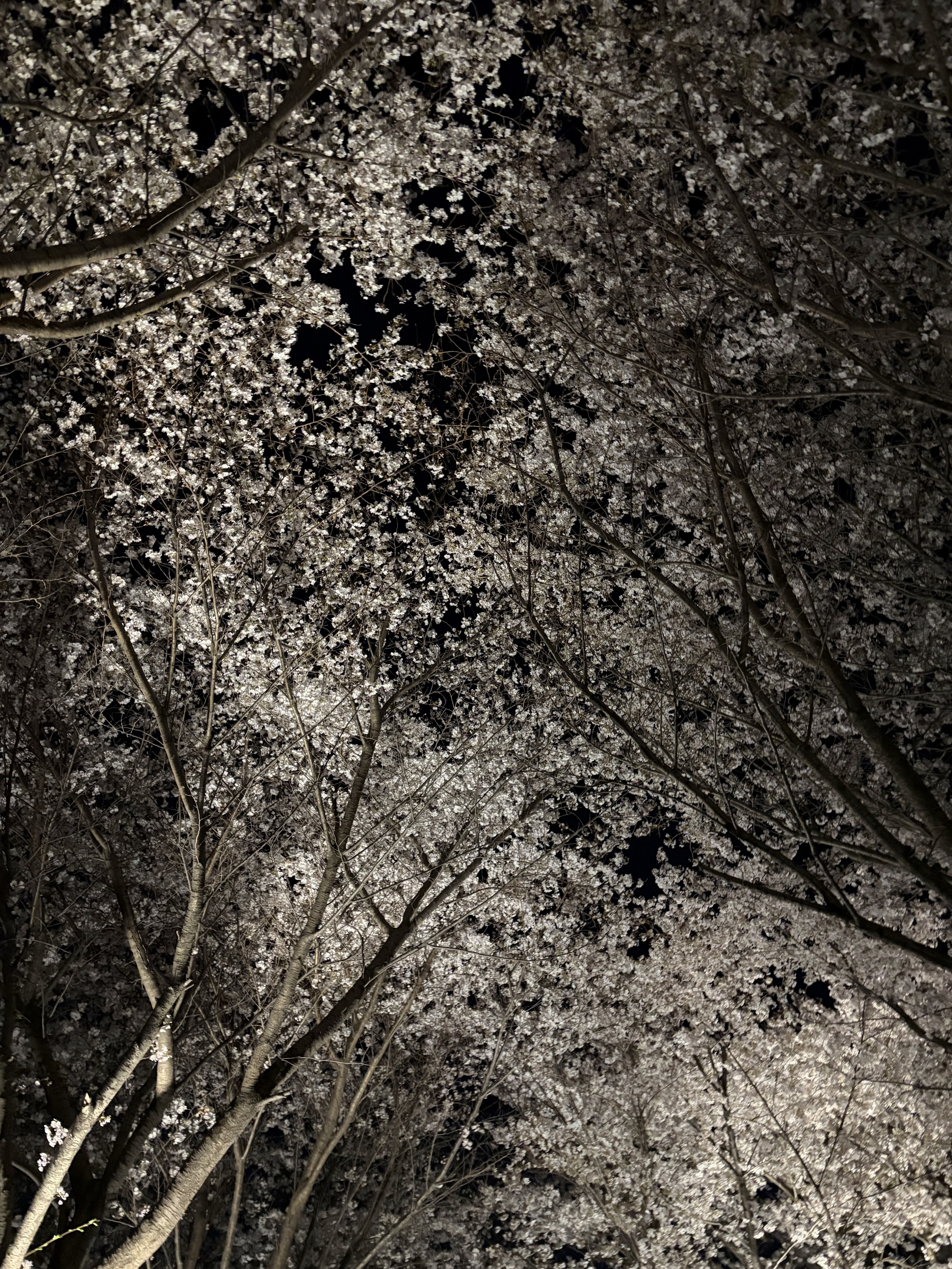 노래방(+뉑,낑슈,이랑)