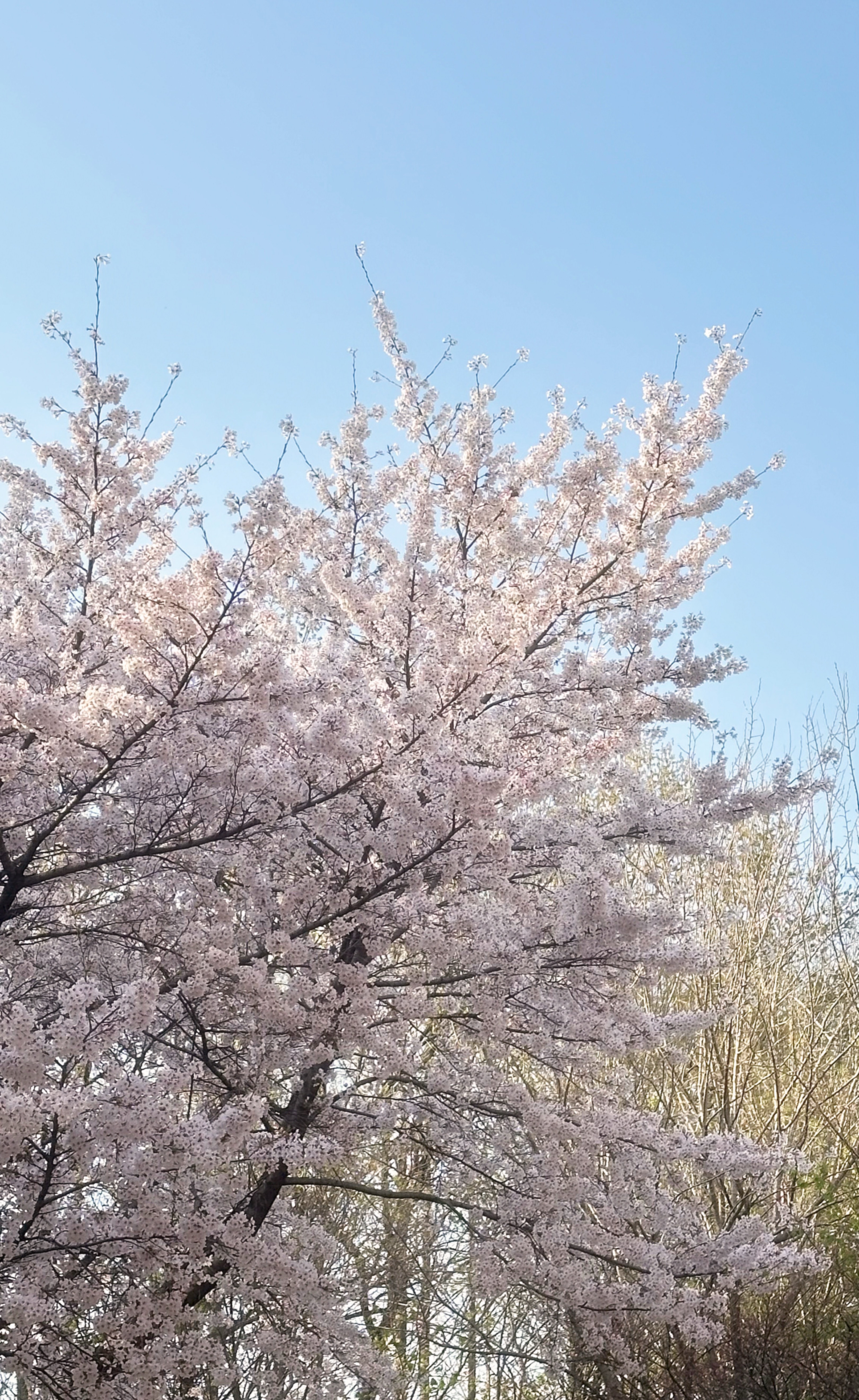 달달하게 재워줄게요 이리와요💗