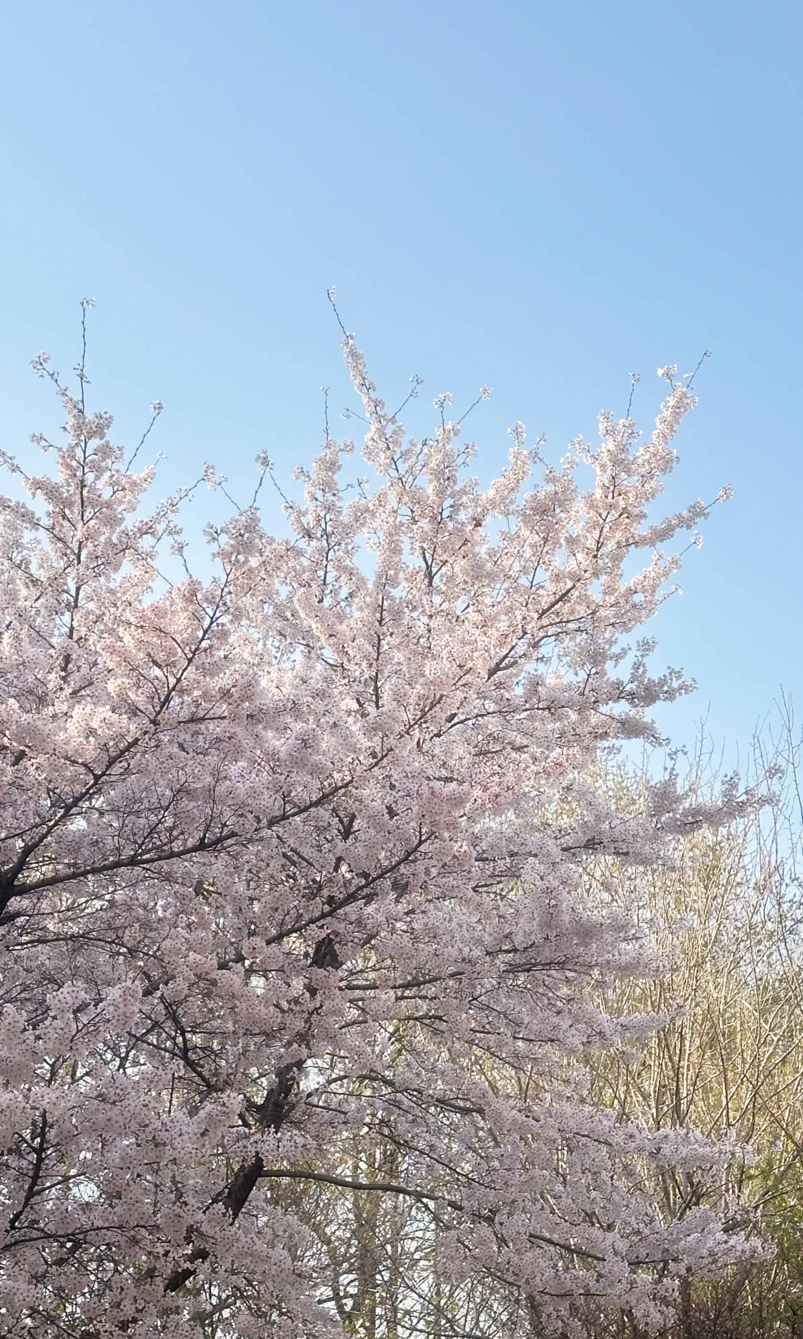 달달하게 재워줄게요 이리와요💗