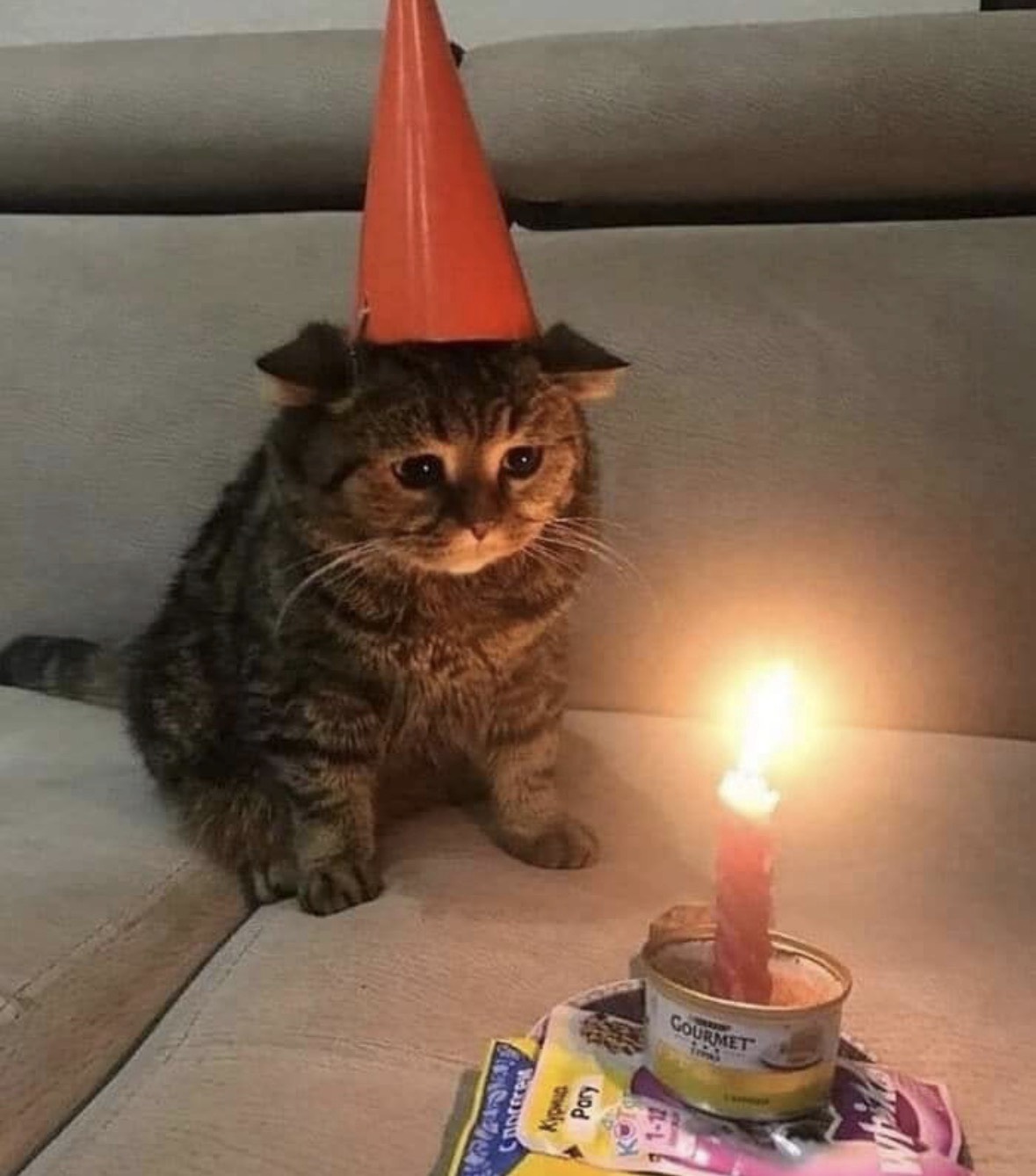 나 오늘 생일인데,,