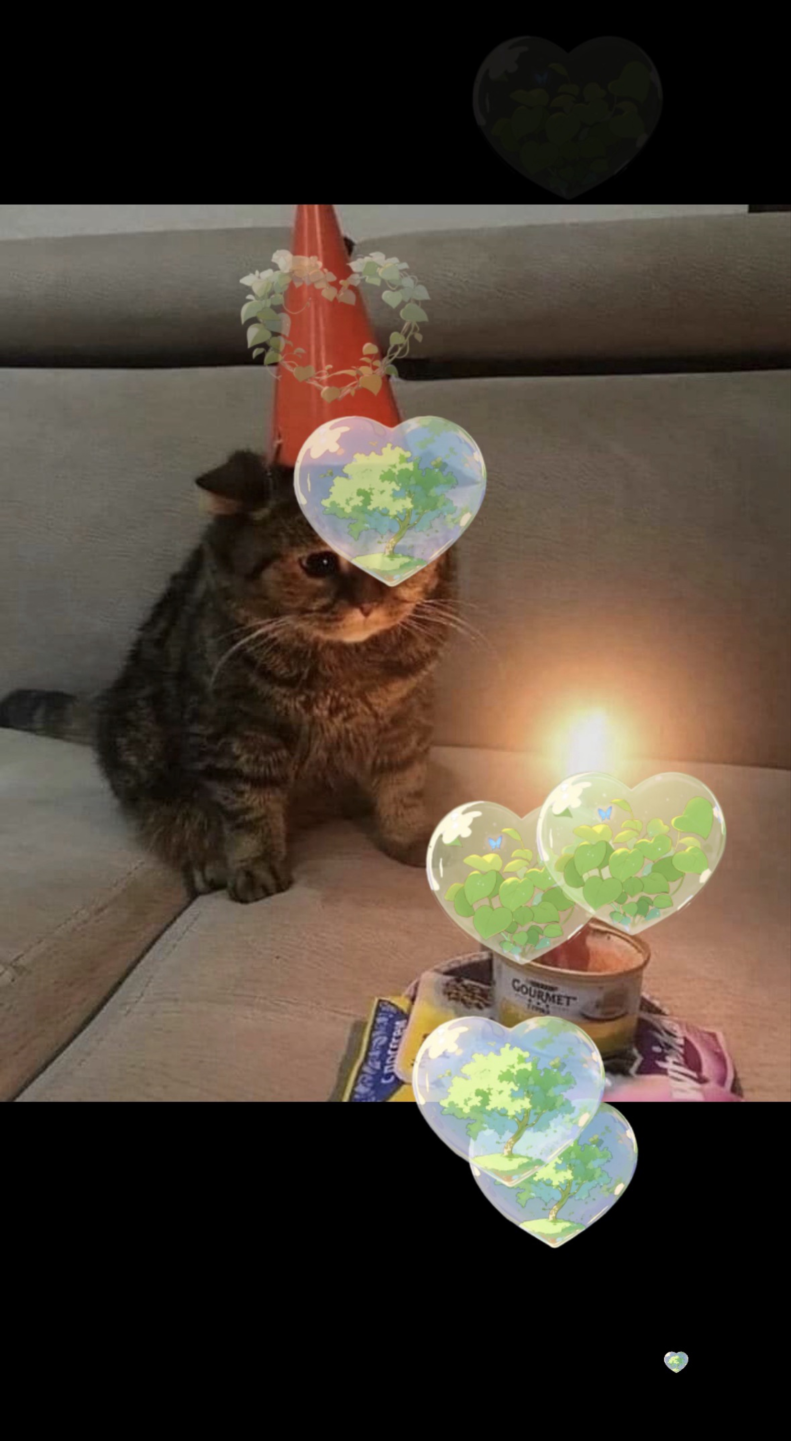 나 오늘 생일인데,,