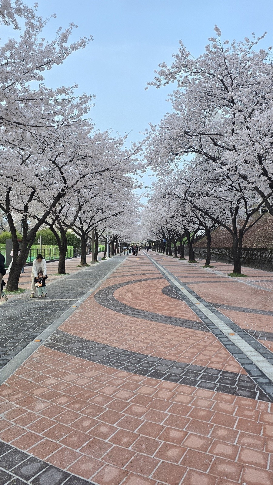 오전 N시경, N O R A E