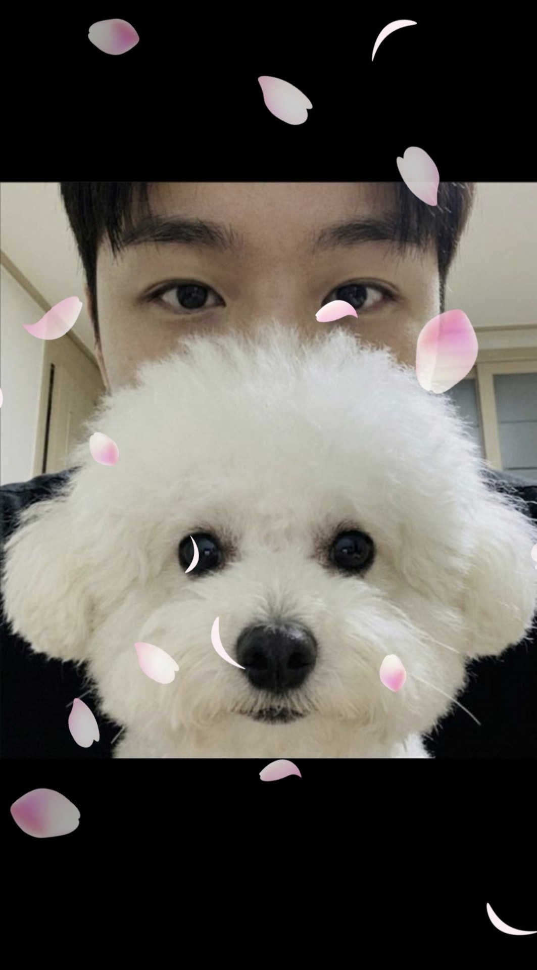 갈방없다이가 ㄱㄱㄱㄱㄱ