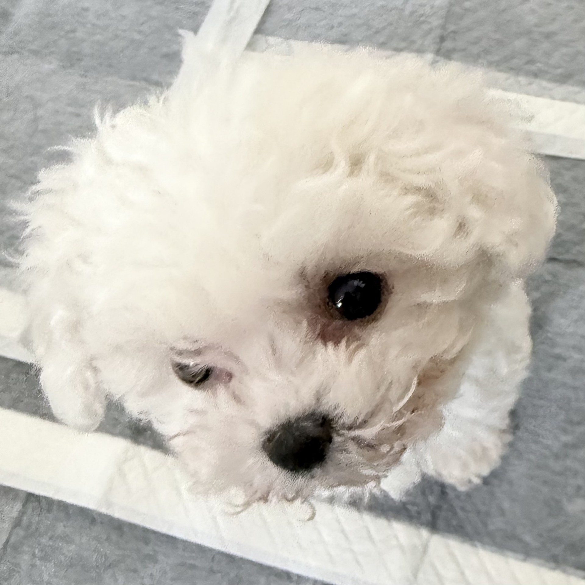 방종푼 ㅅㅅㅅㅅㅅㅅㅅㅅㅅㅅㅅㅅ