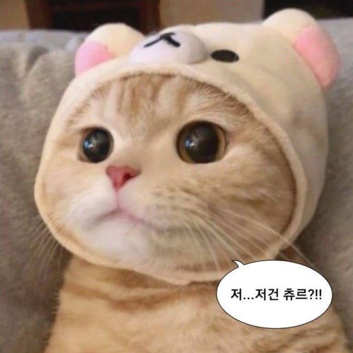 1000개 노방종(?)이라는데요..?