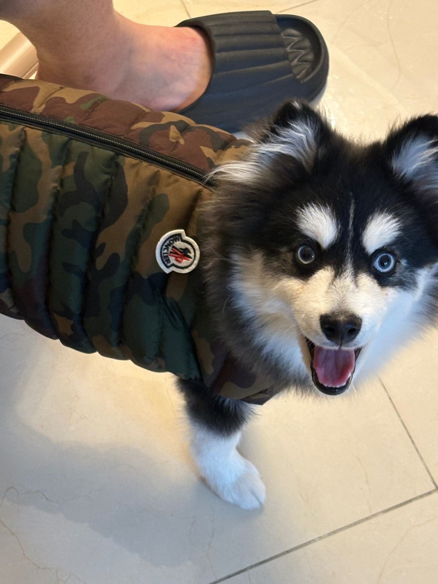 # 마감 3시 맹호 ㄱㄱ