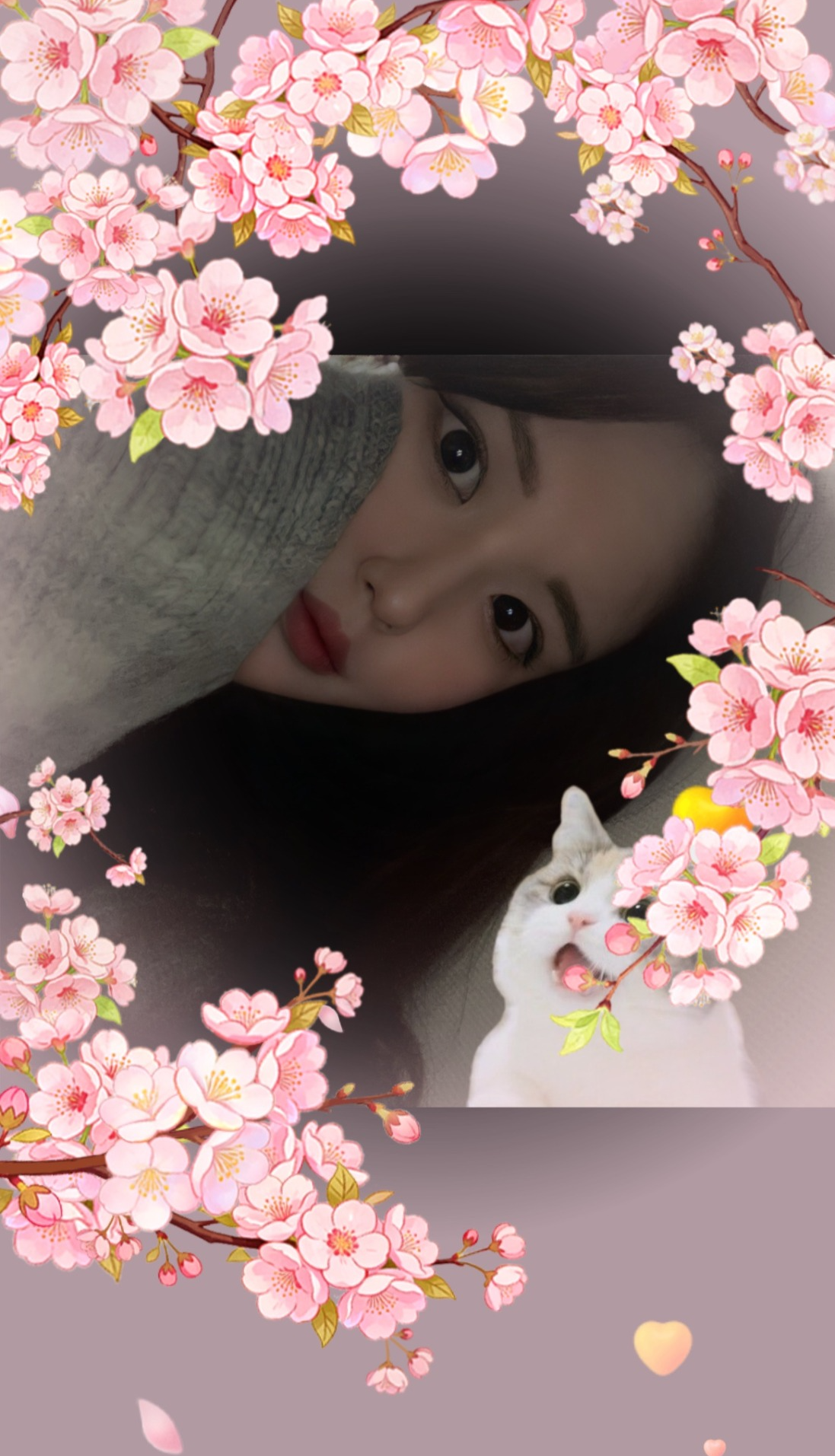 신입) 새벽에 듣기 좋습니다.ᐟ 