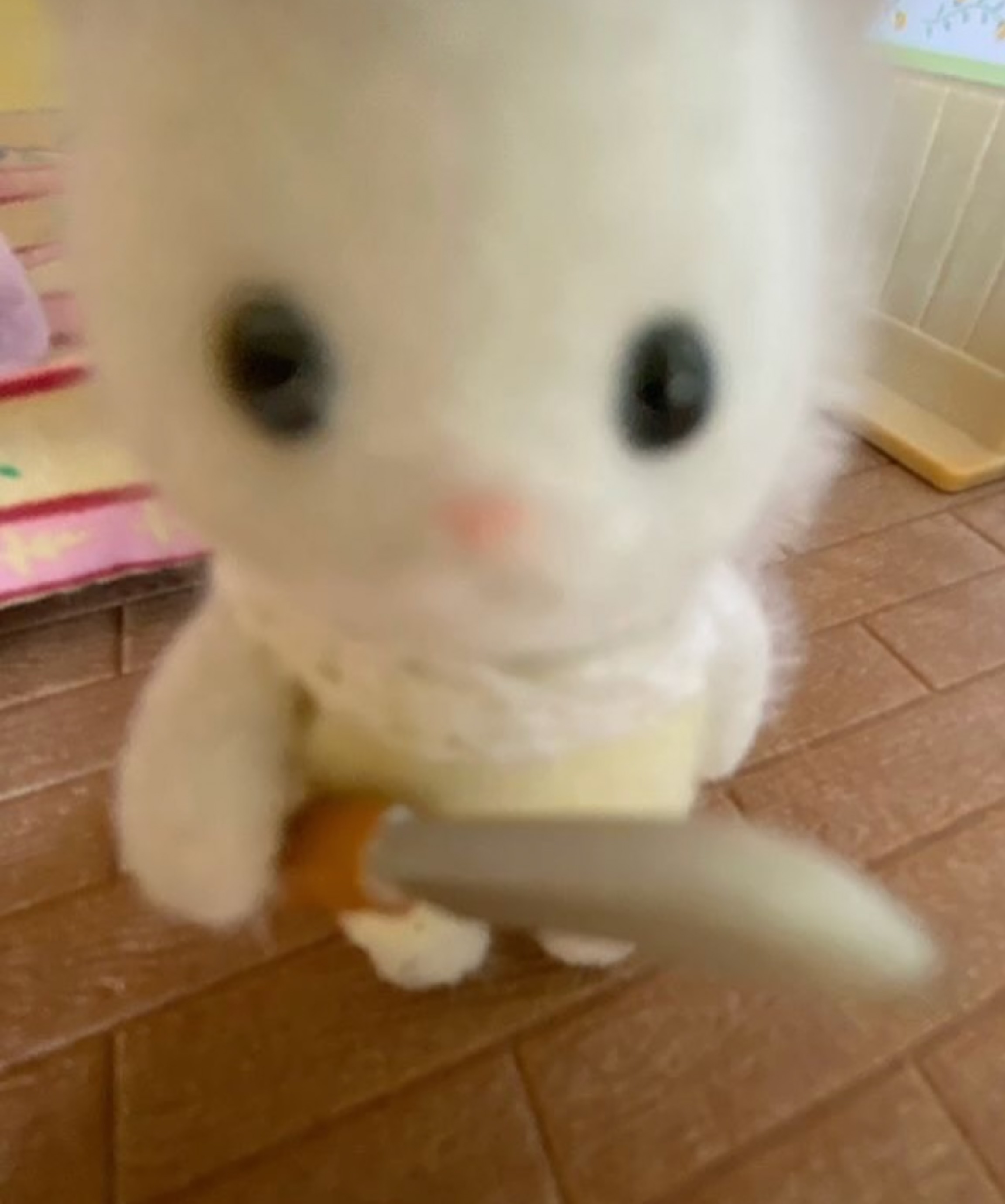 잘생긴 오빠만 ㄱㄱ