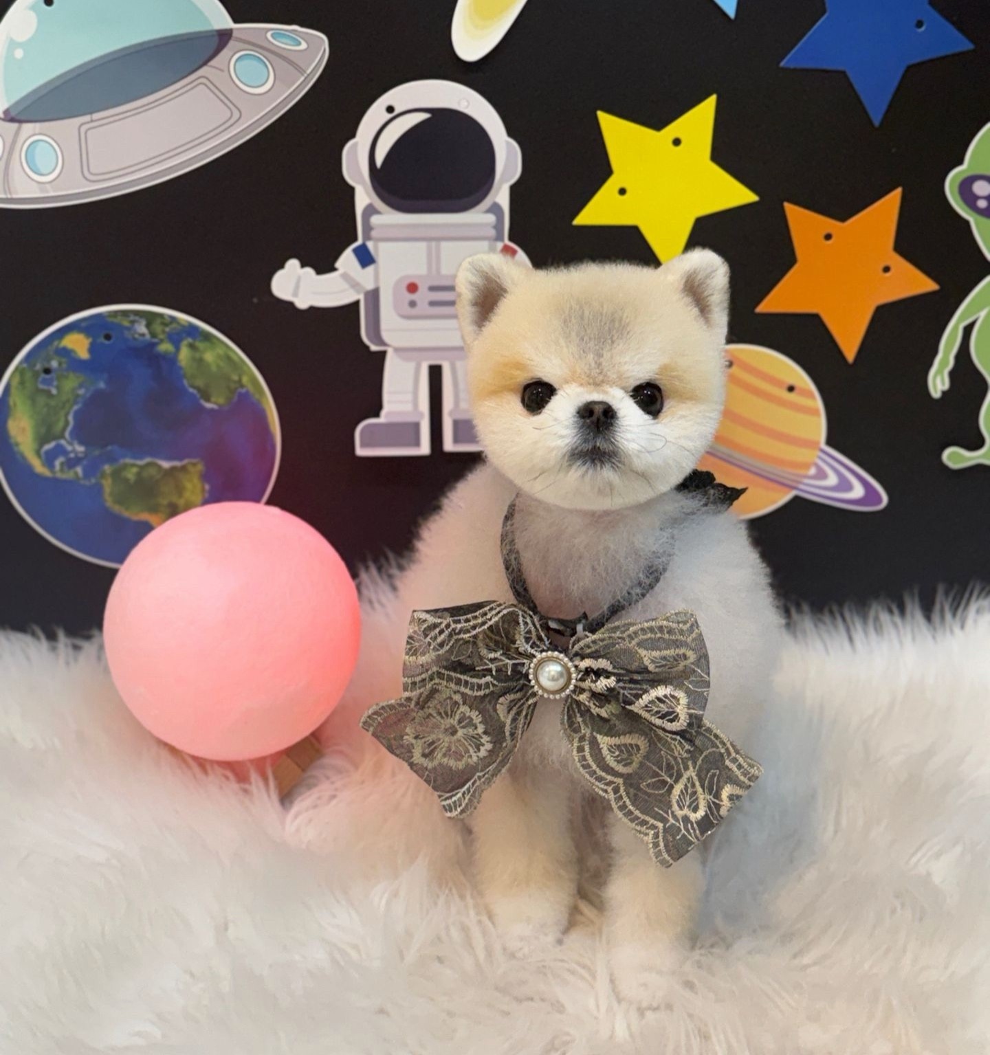 # 오늘도감사합두둥 렉스