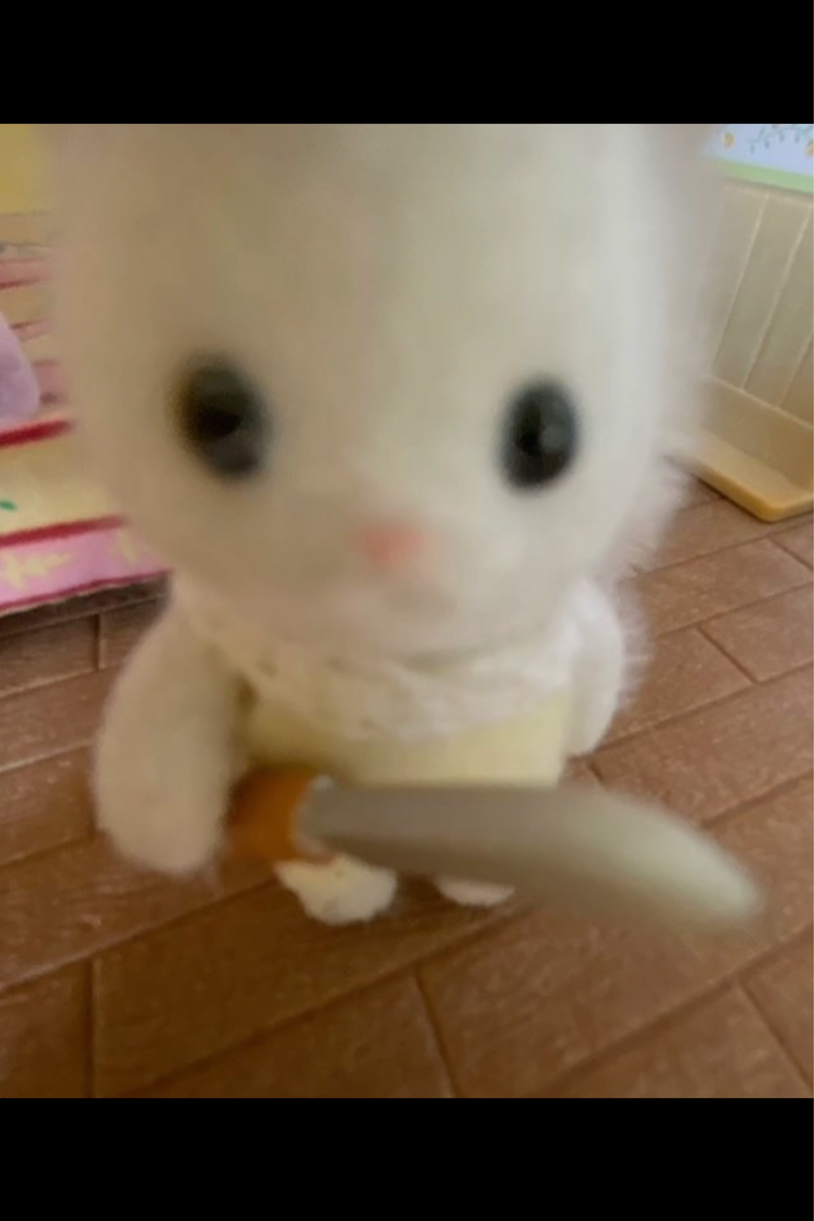 잘생긴 오빠만 ㄱㄱ