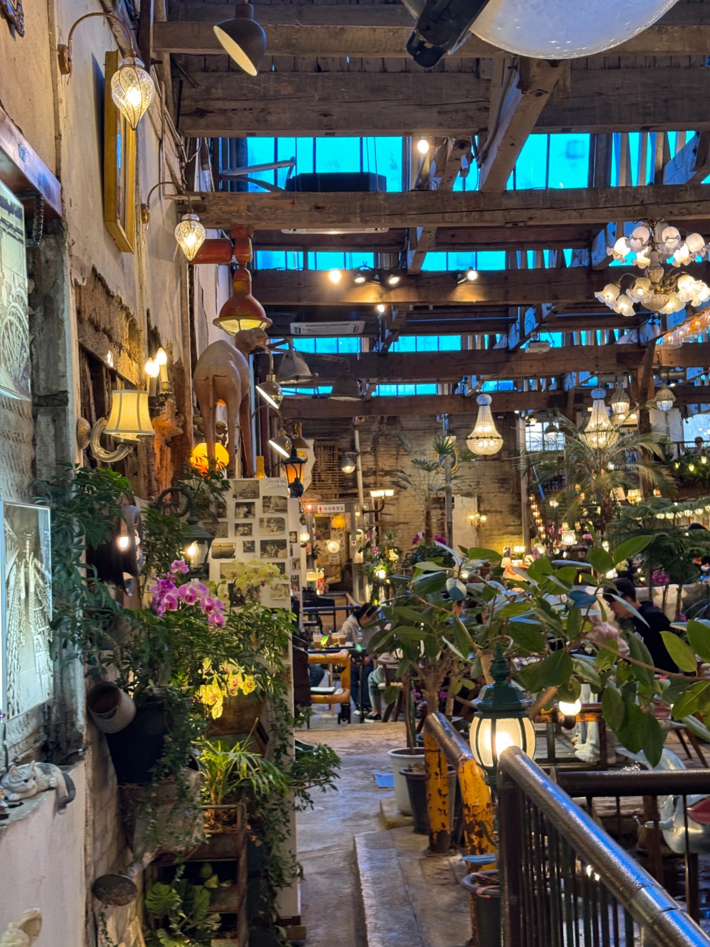 굿모닝🧡 눈뜨자마자 켜는 방송🎙️